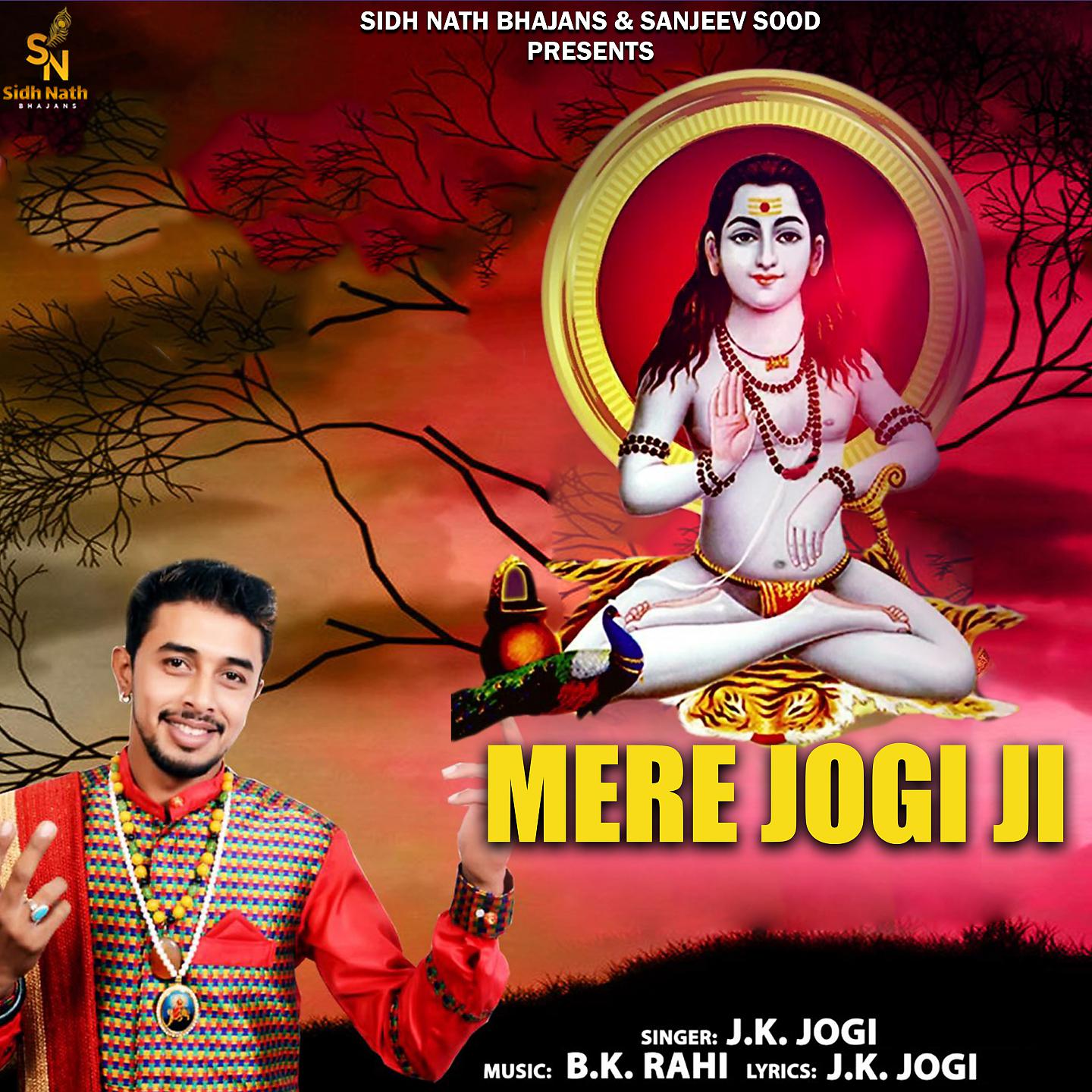 Постер альбома Mere Jogi Ji
