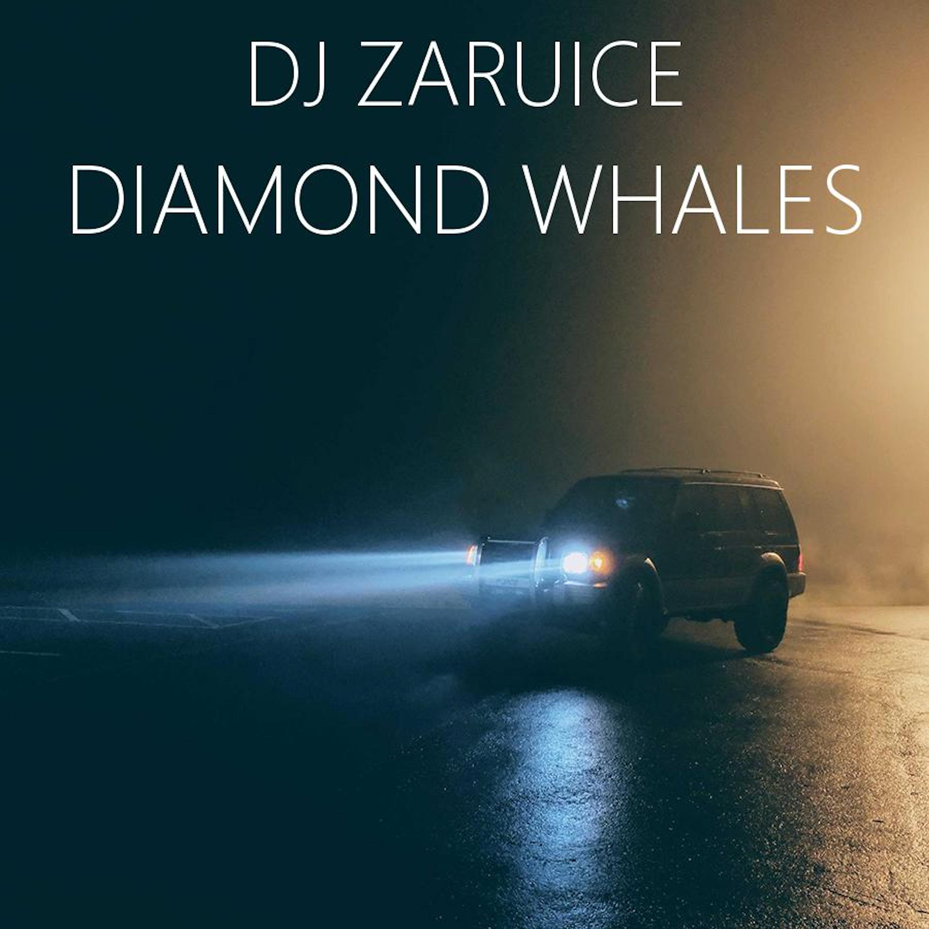 Постер альбома Diamond Whales