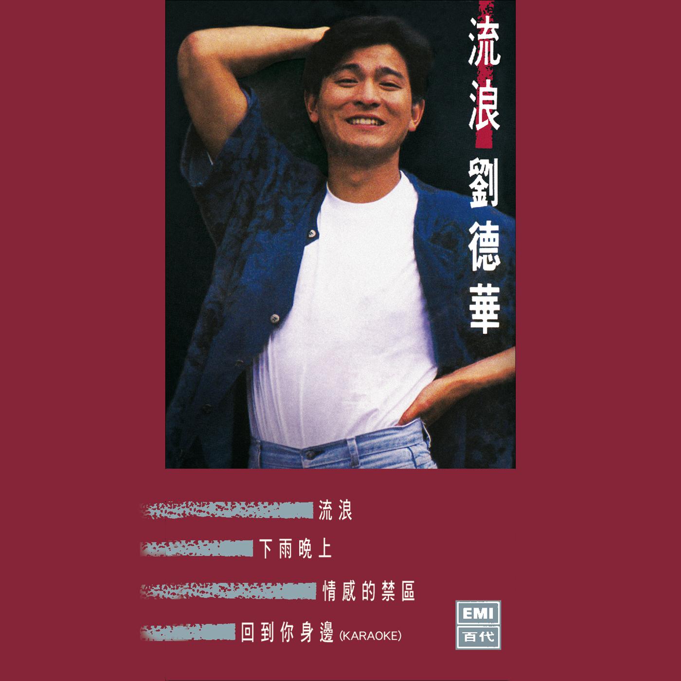 Постер альбома 流浪‧劉德華