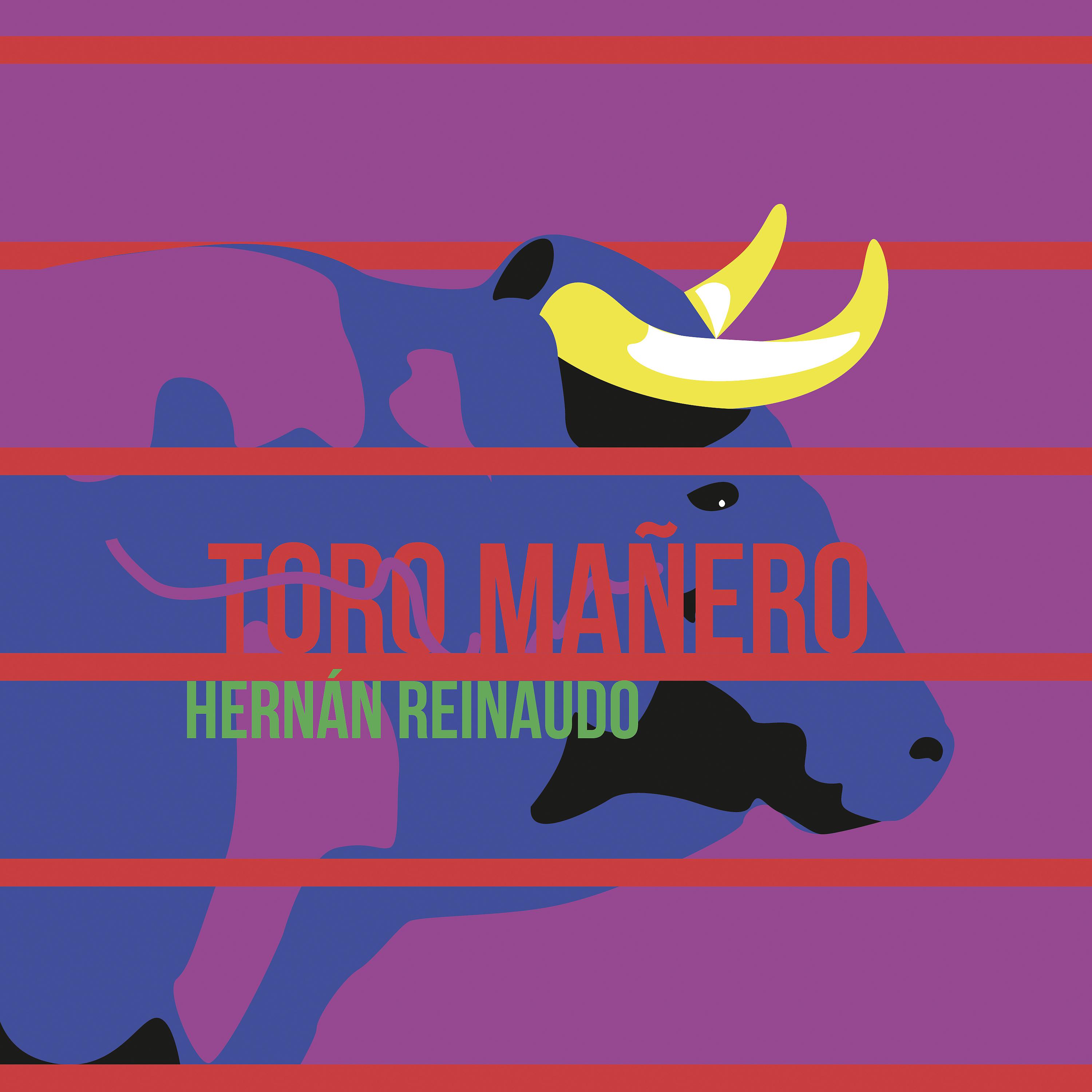 Постер альбома Toro Mañero