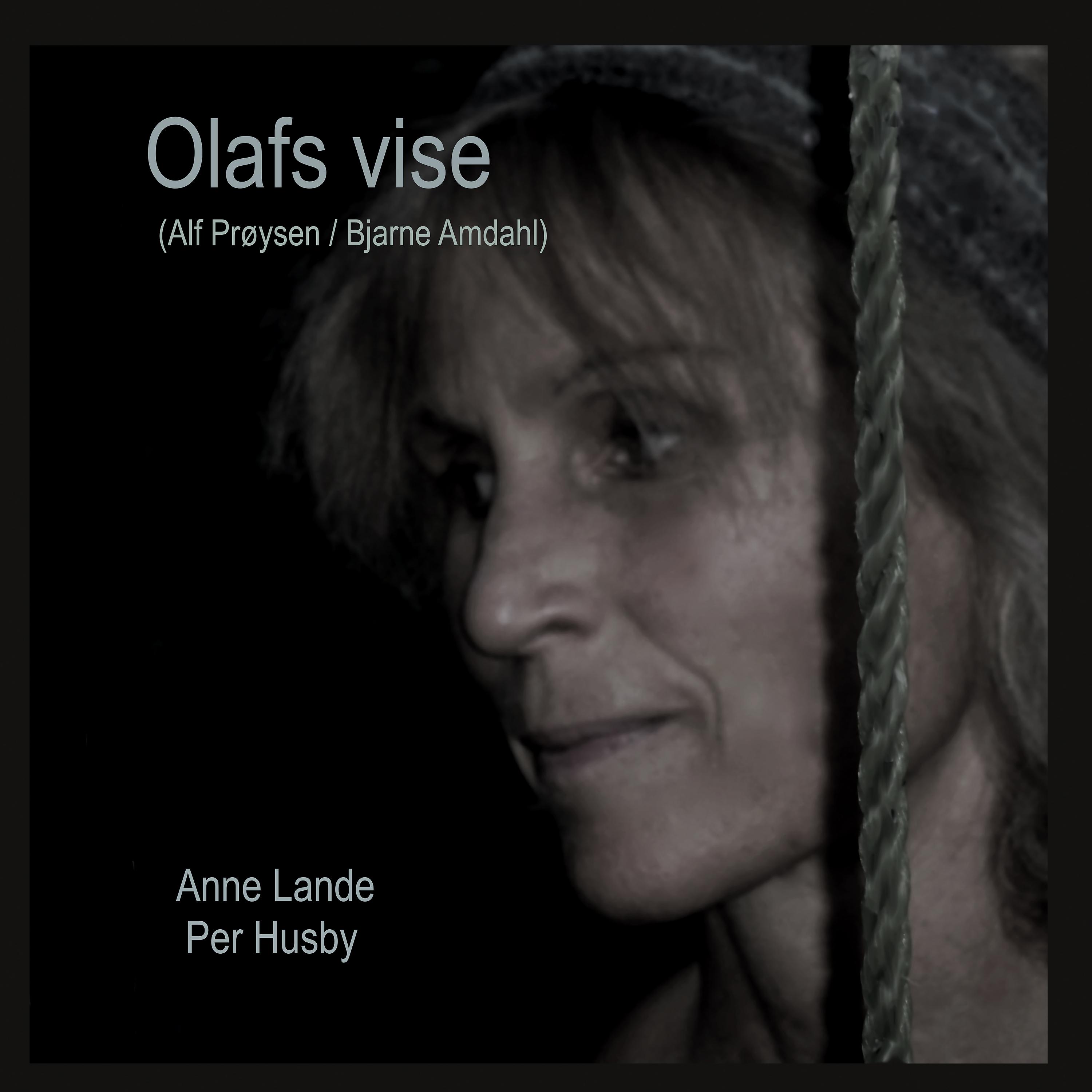 Постер альбома Olafs Vise