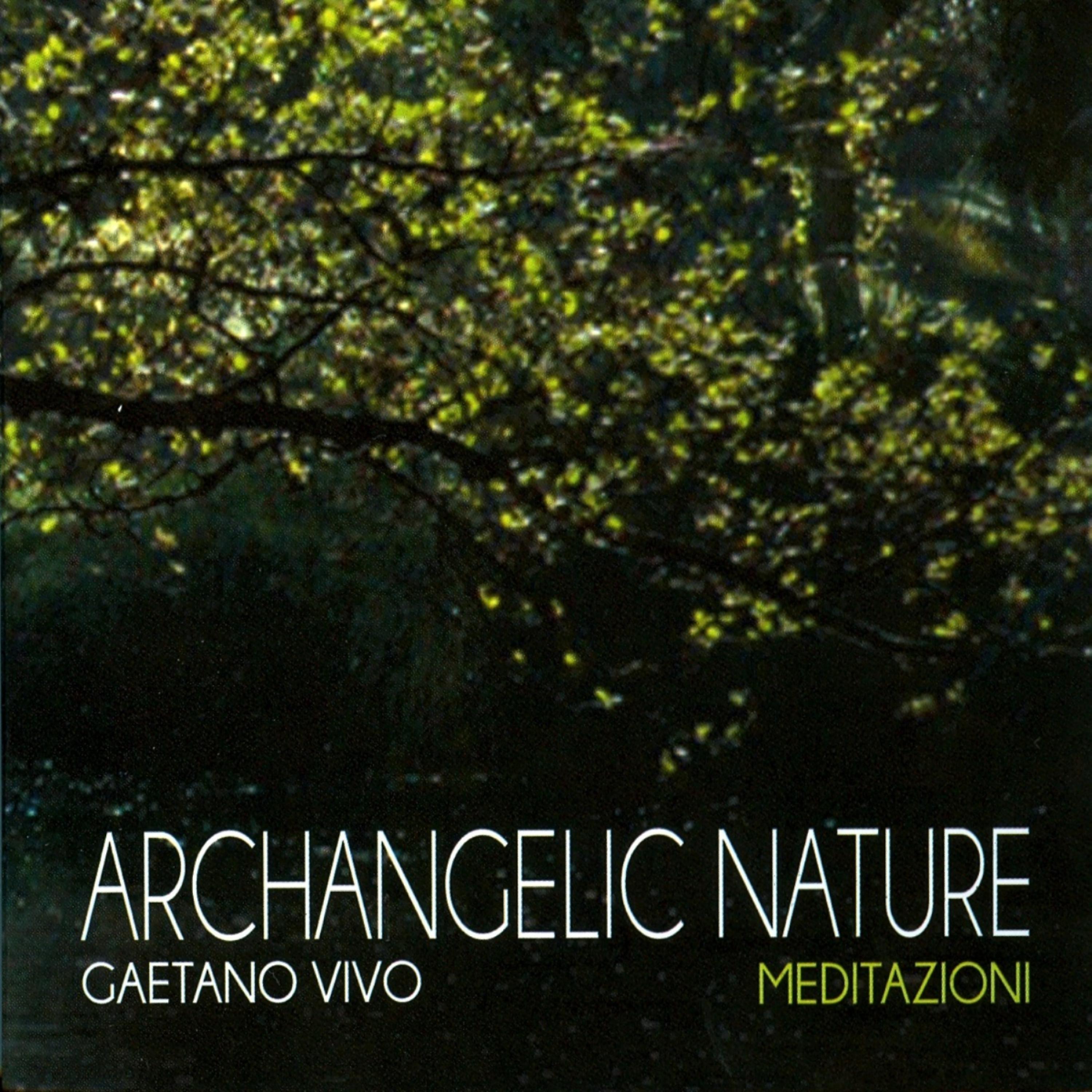 Постер альбома Archangelic Nature - Meditazioni