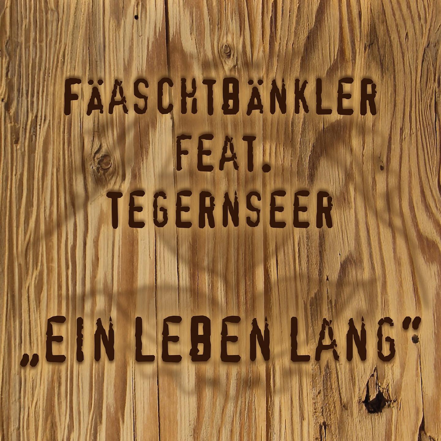 Постер альбома Ein Leben lang