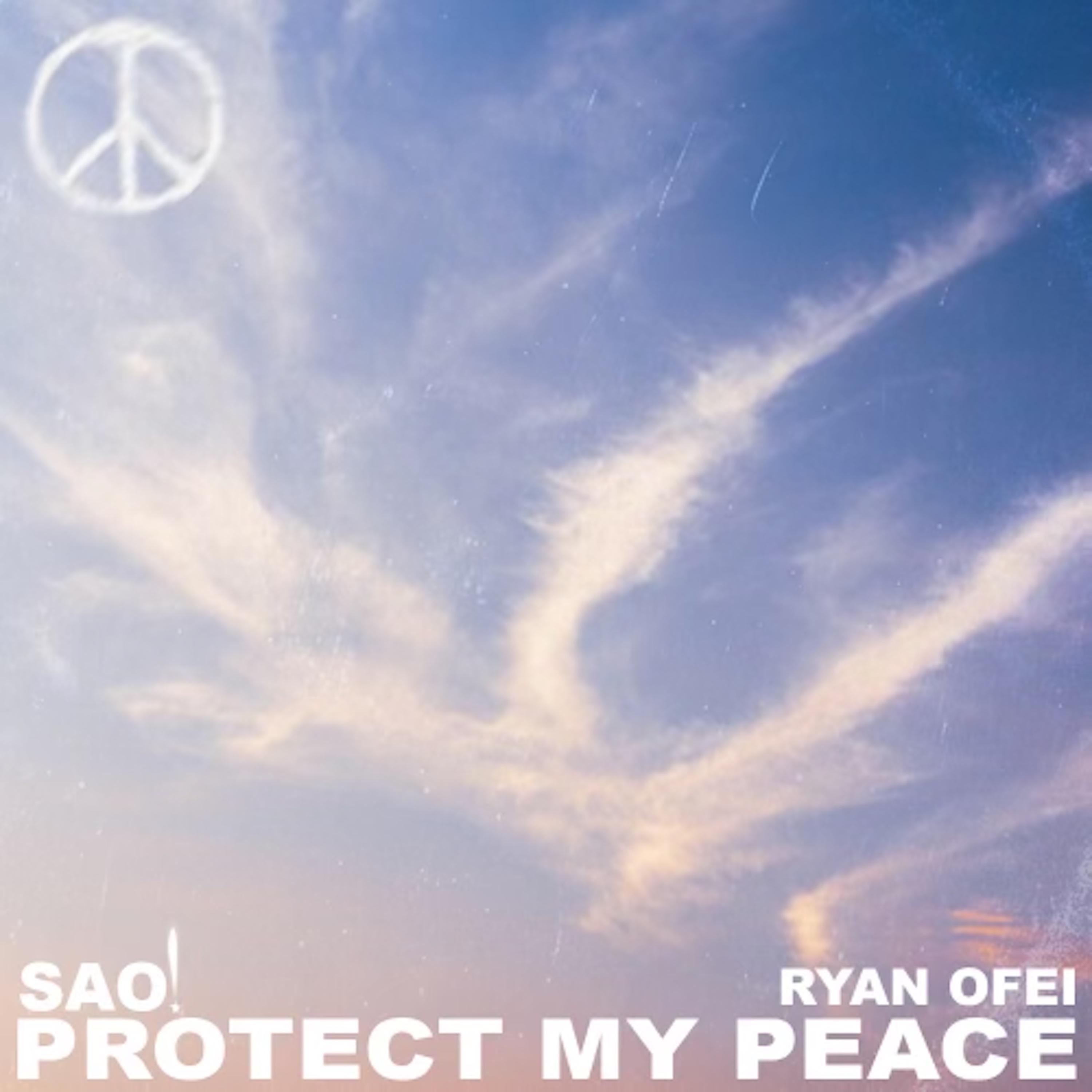 Постер альбома Protect My Peace