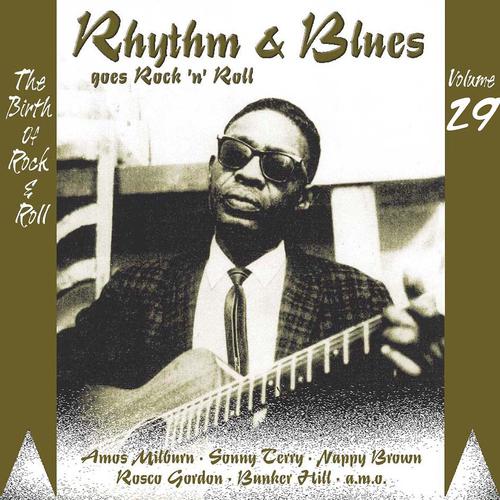 Постер альбома Rhythm & Blues Goes Rock & Roll, Vol. 29