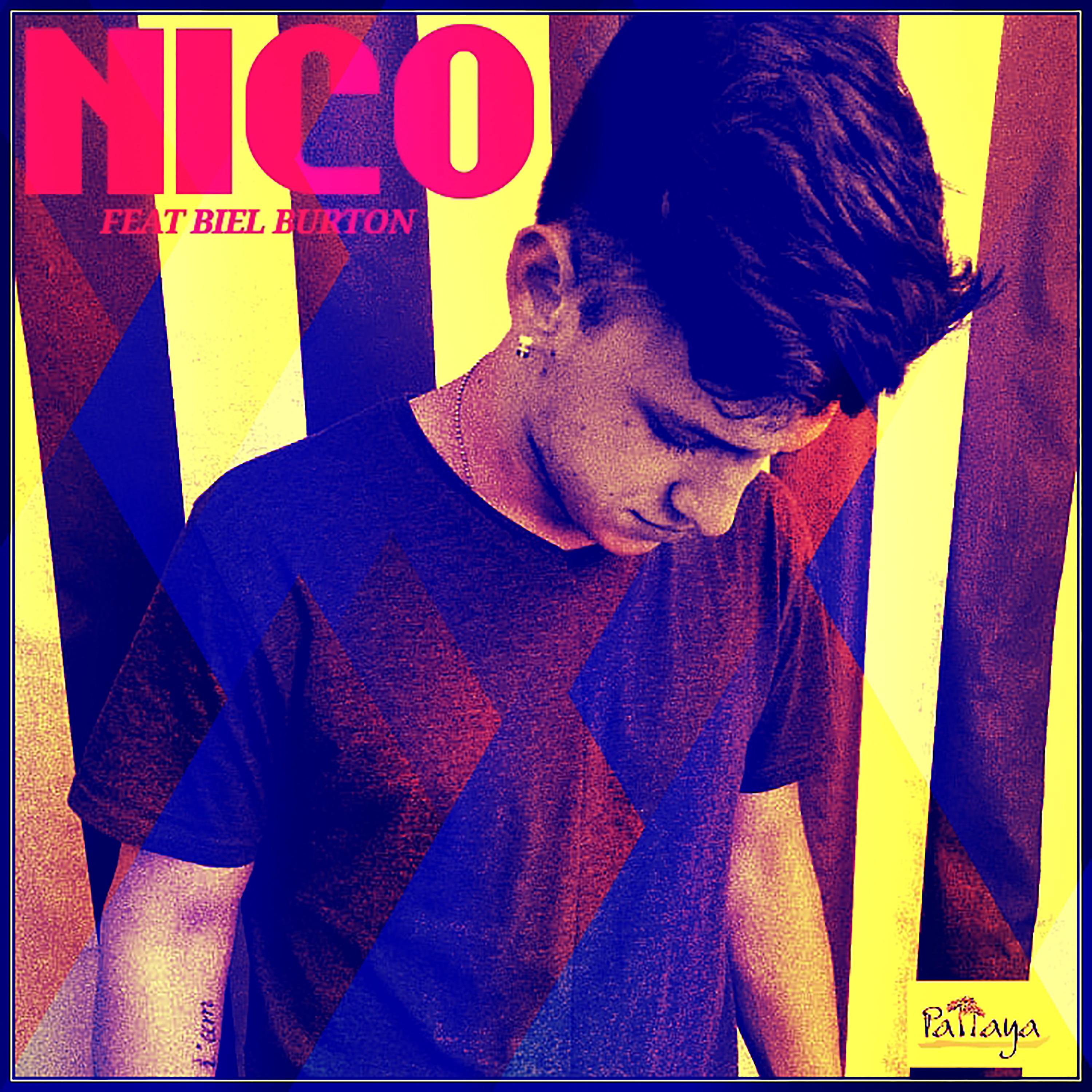 Постер альбома Nico