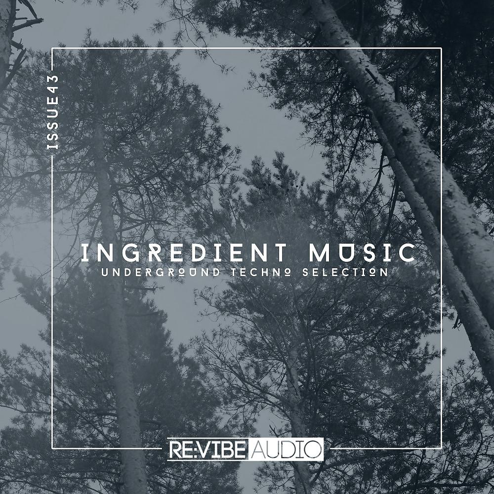 Постер альбома Ingredient Music, Vol. 43
