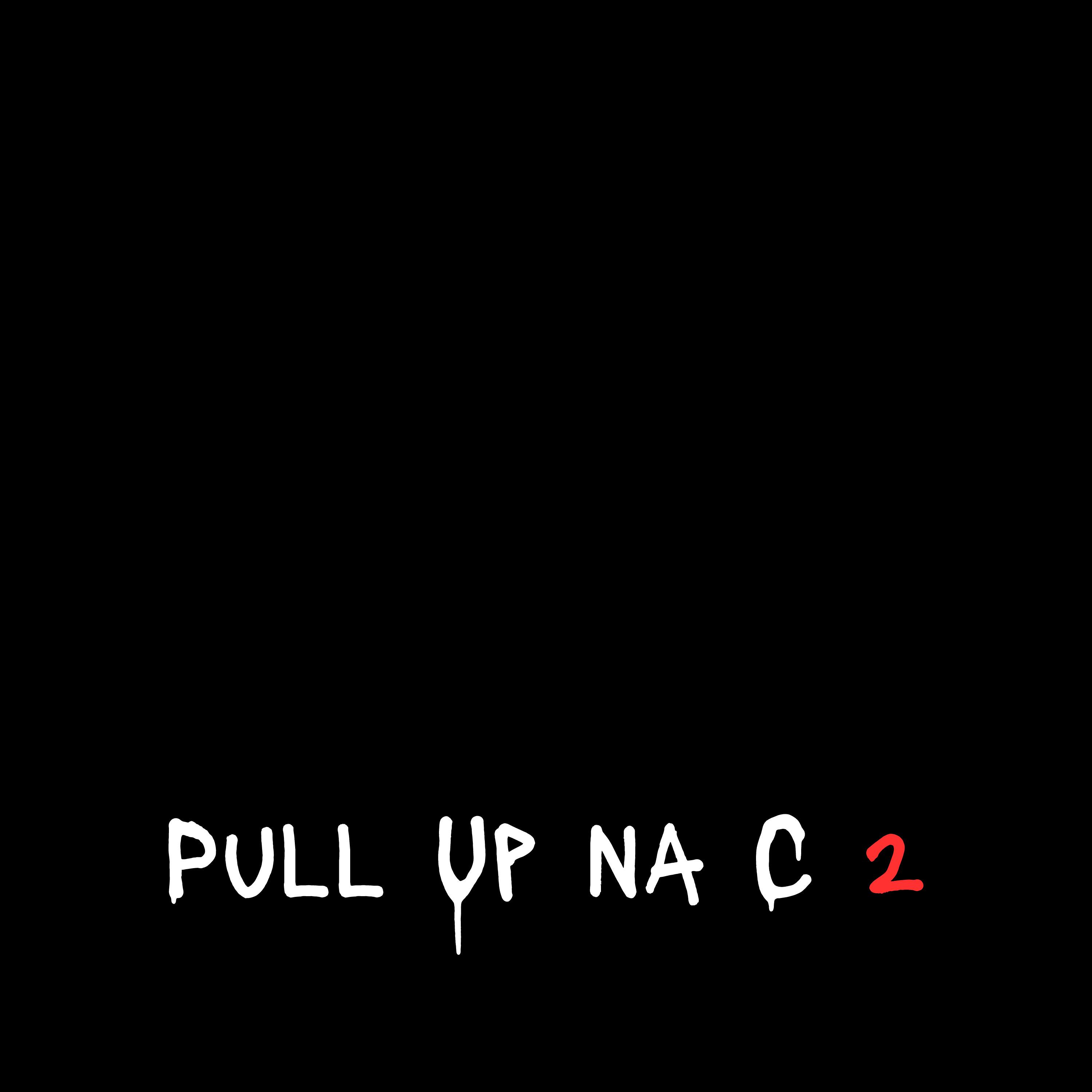 Постер альбома Pull Up na C 2
