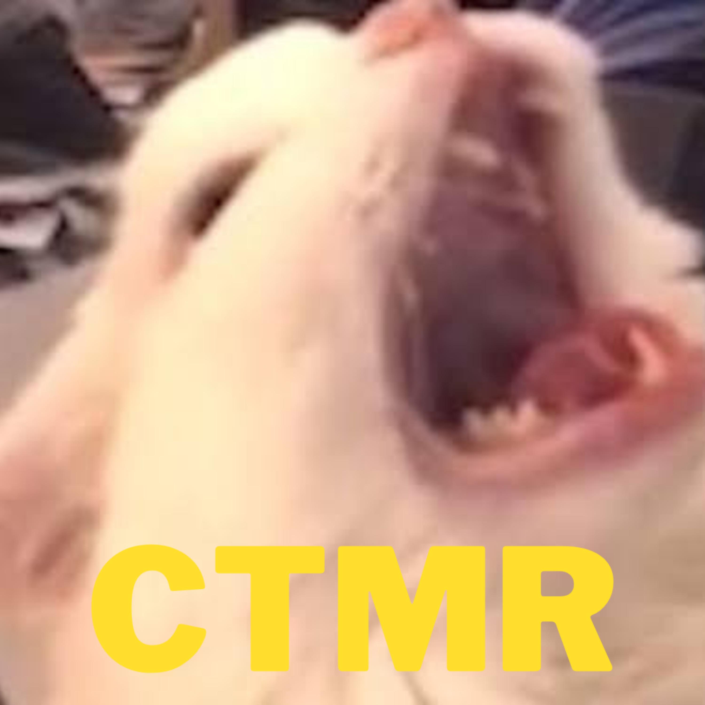 Постер альбома Ctmr