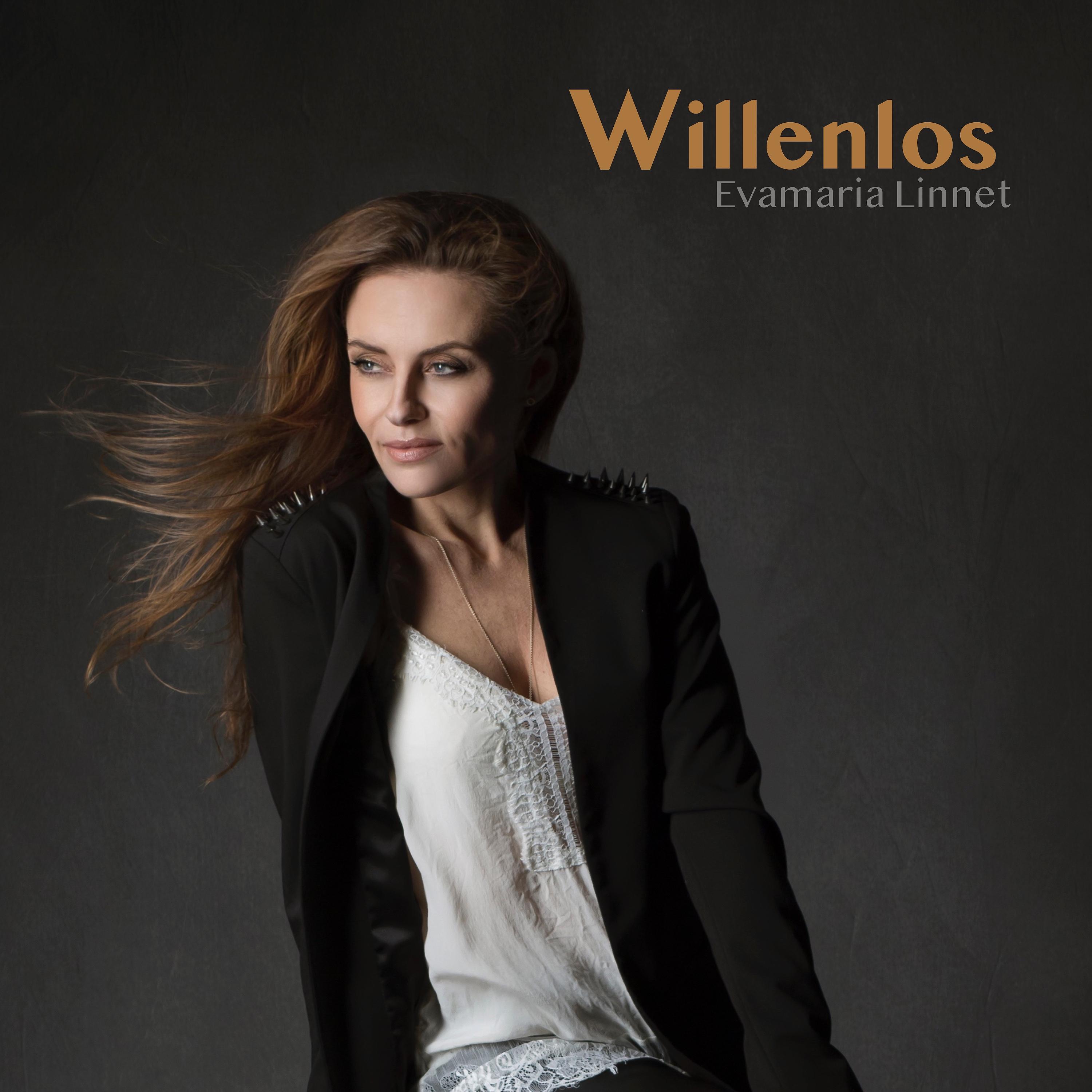 Постер альбома Willenlos