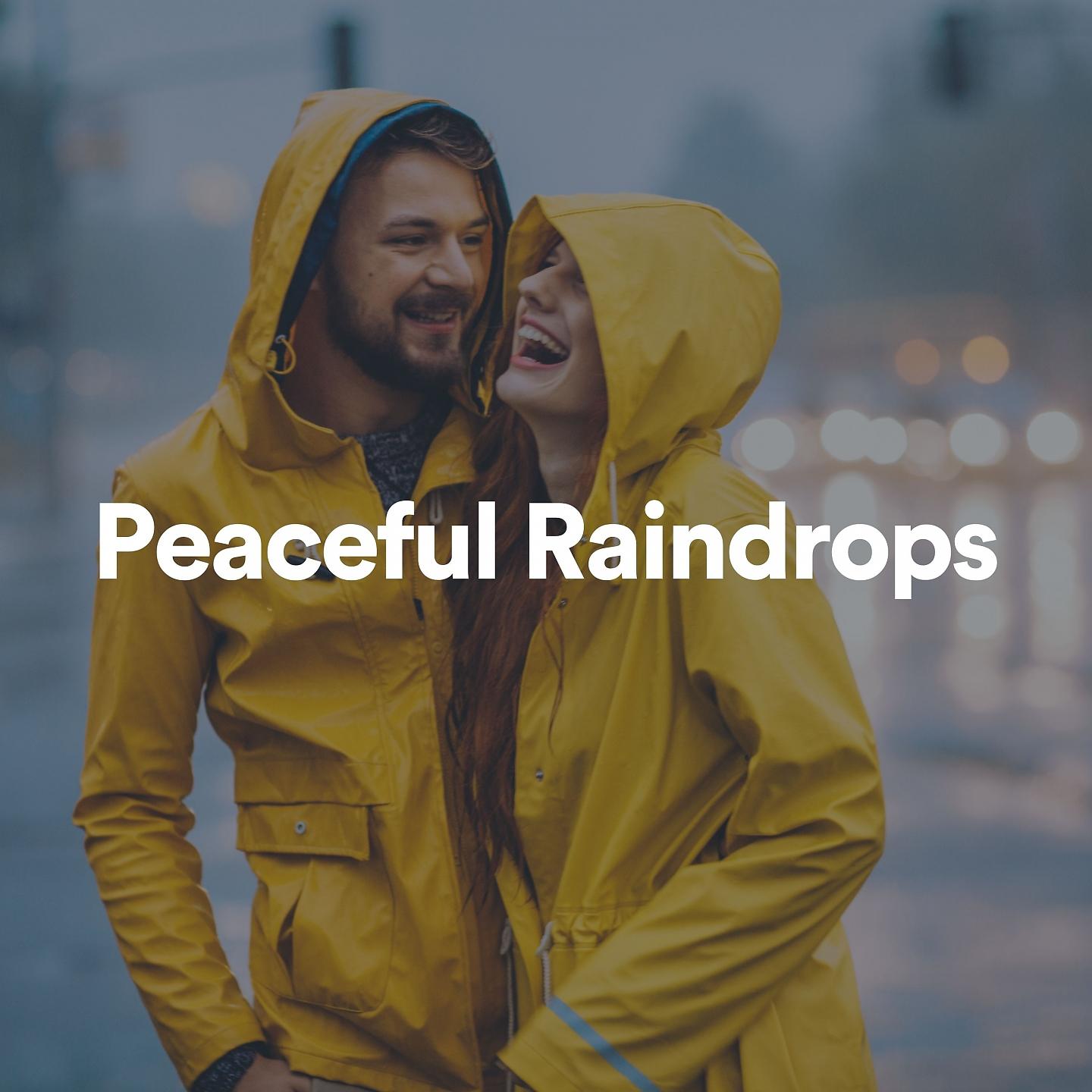 Постер альбома Peaceful Raindrops
