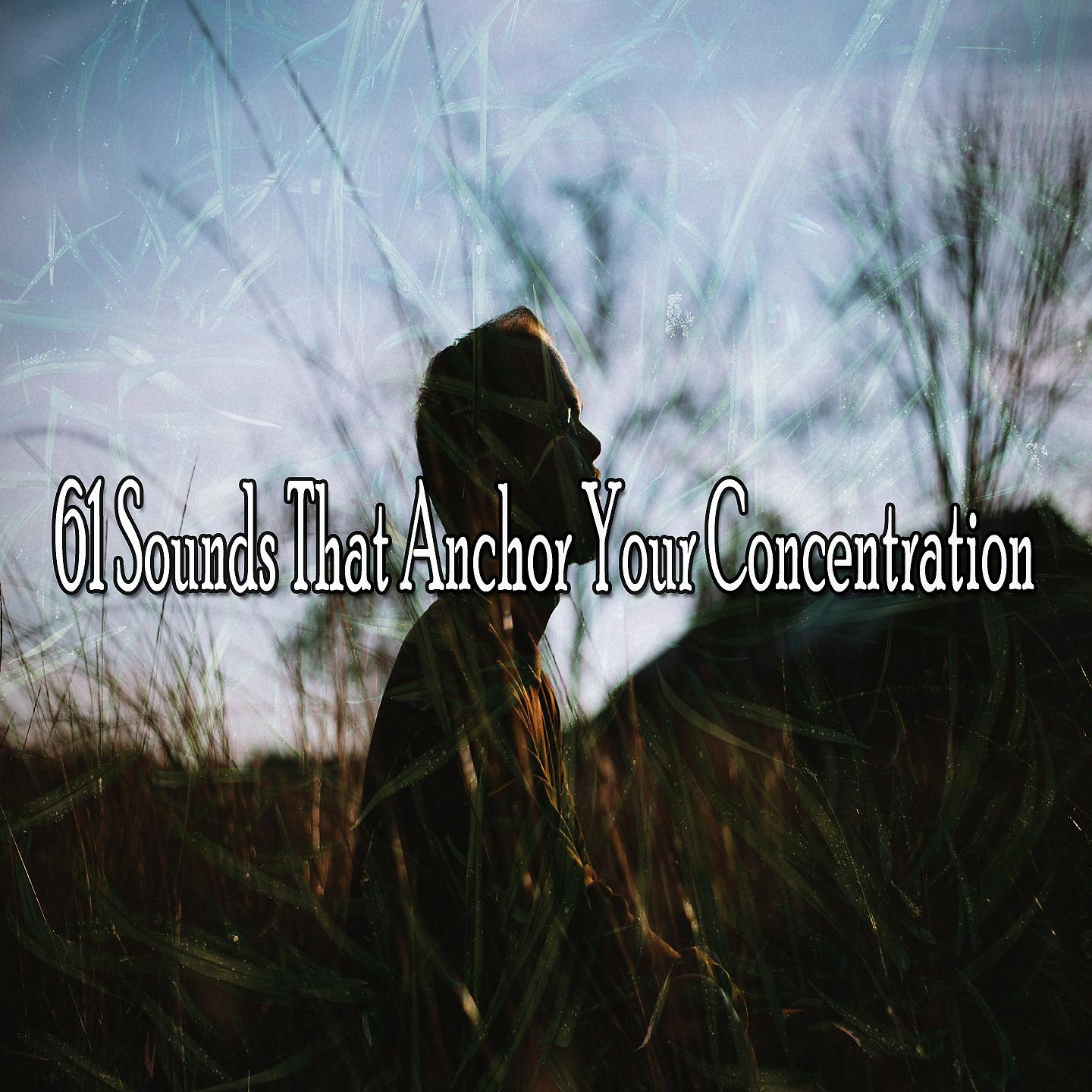 Постер альбома 61 звук, укрепляющий вашу концентрацию