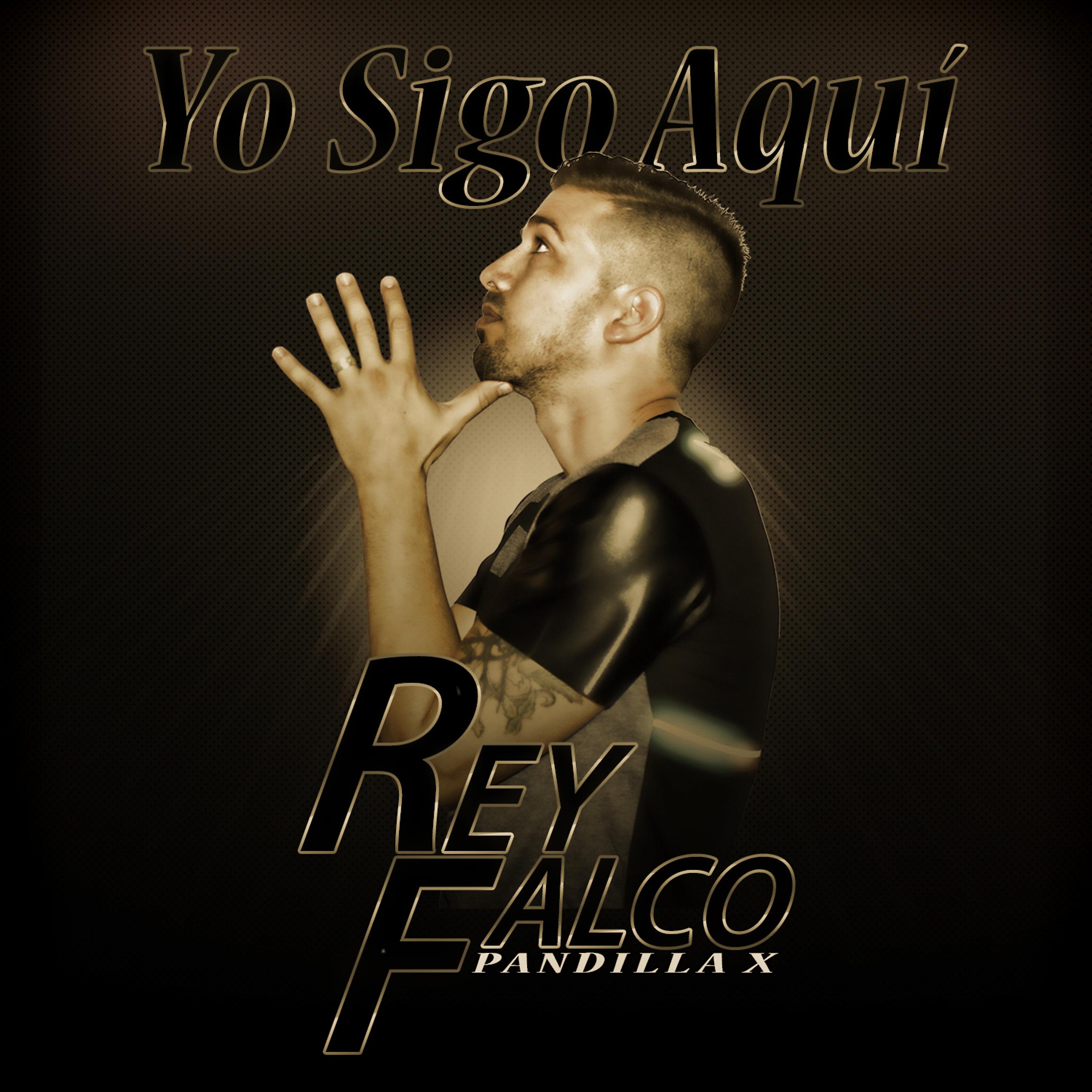 Постер альбома Yo Sigo Aquí