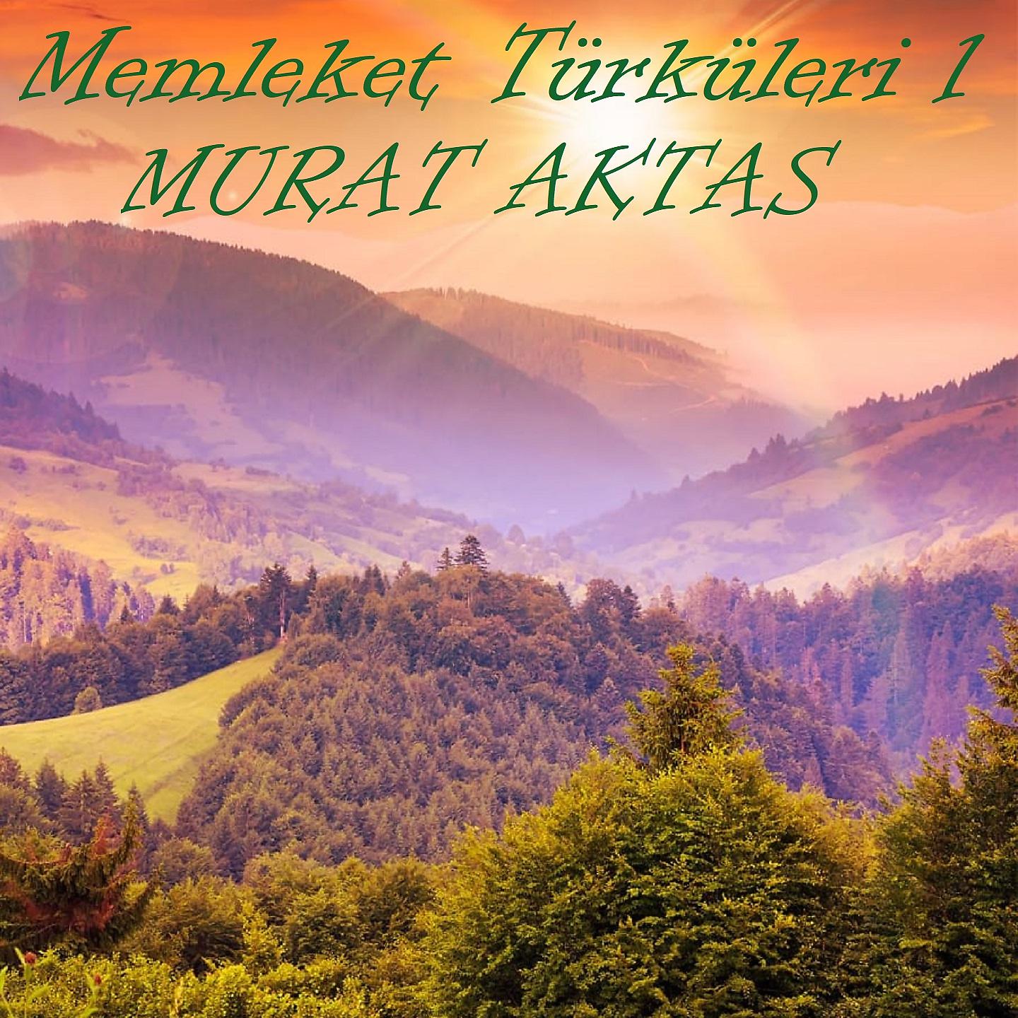Постер альбома Memleket Türküleri, Vol. 1