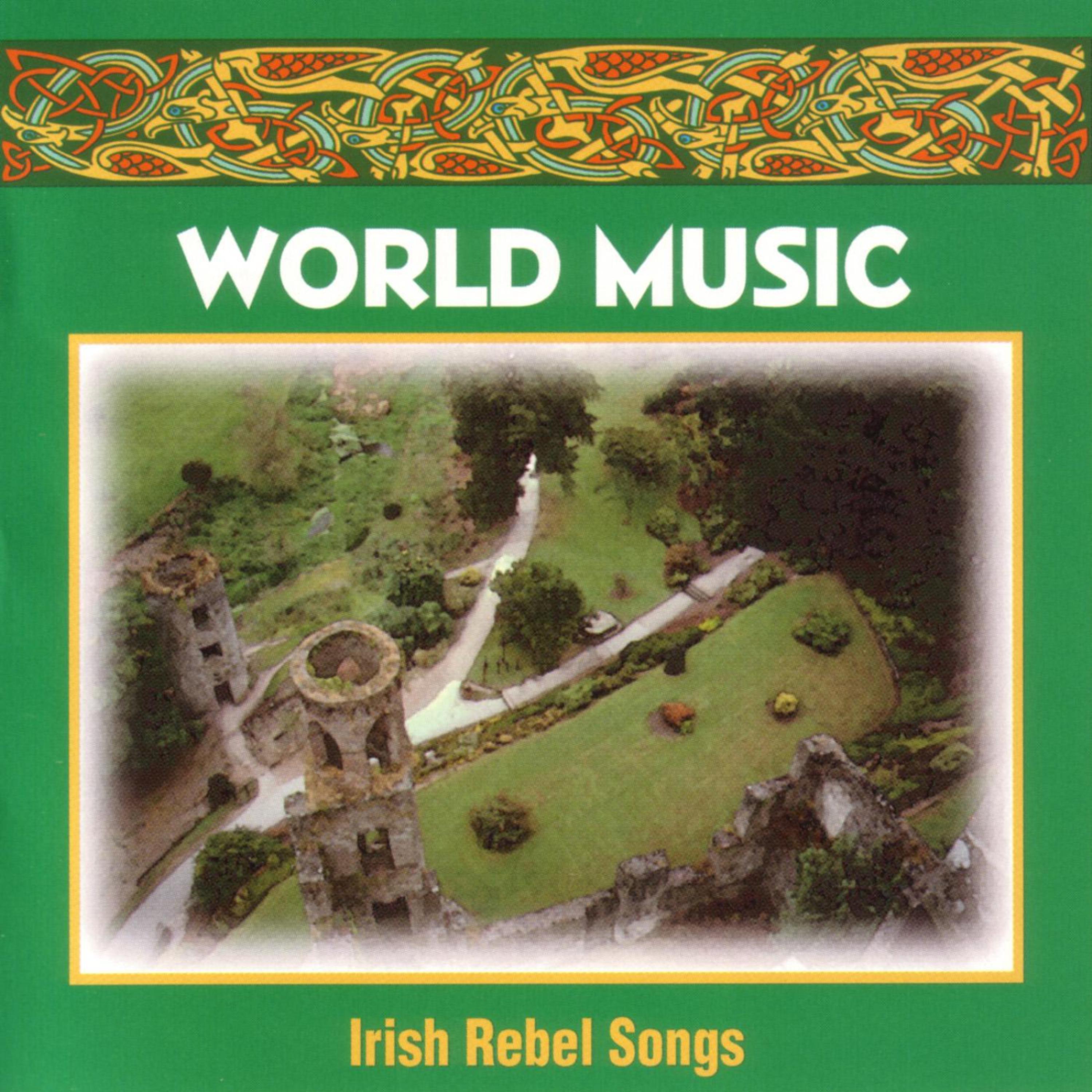 Постер альбома Irish Rebel Songs