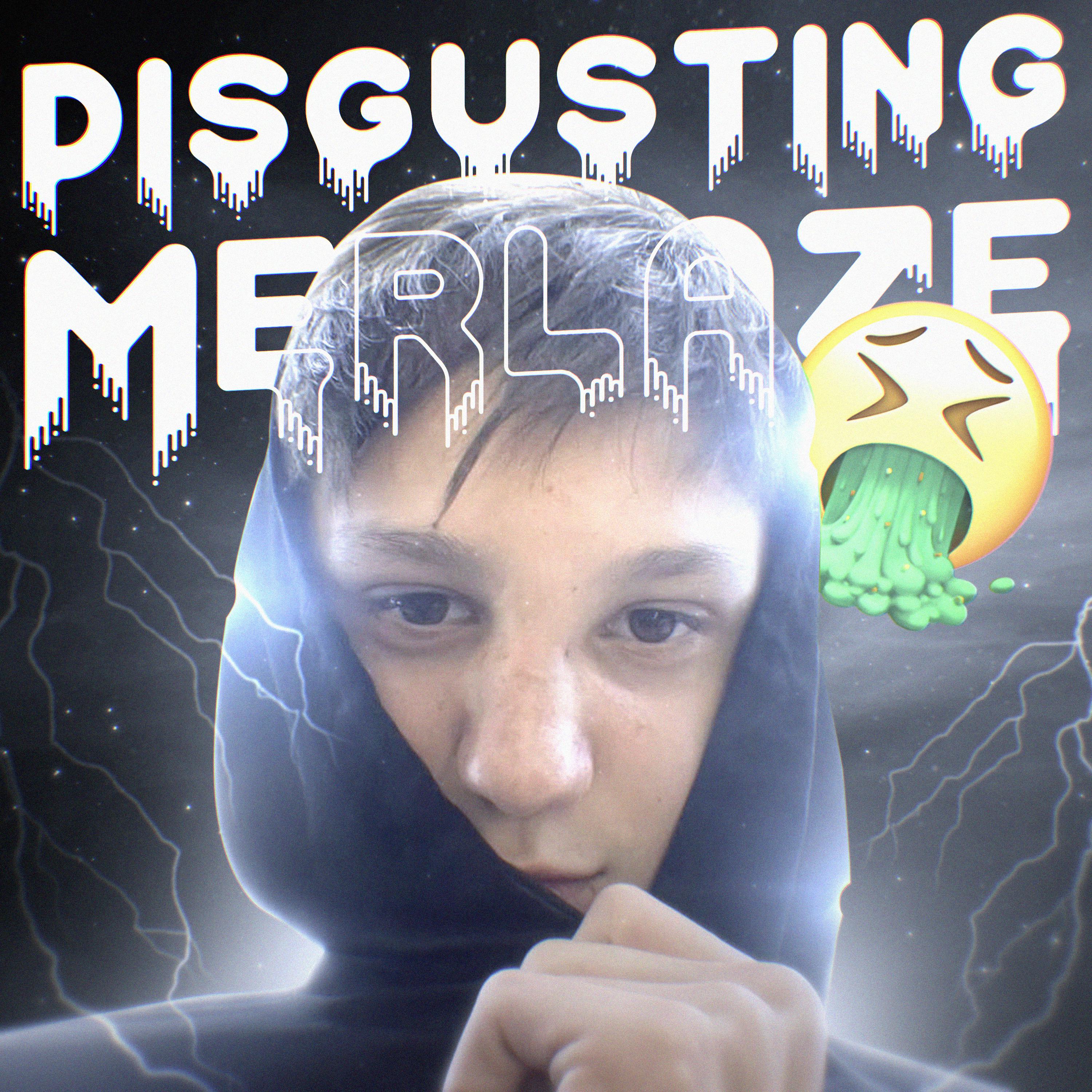 Постер альбома Disgusting Merlaze