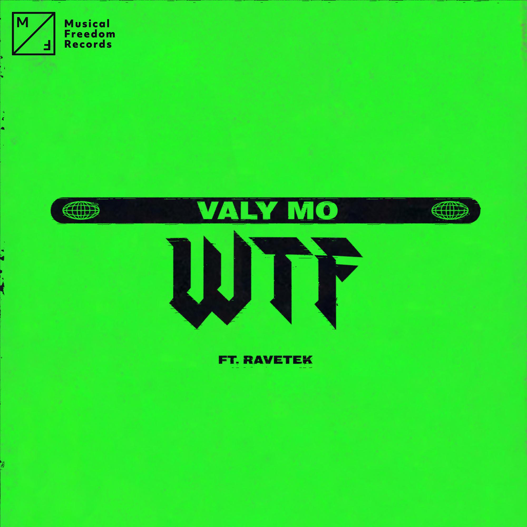 Постер альбома WTF (feat. Ravetek)