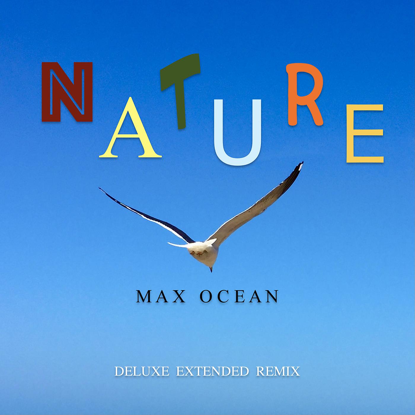 Постер альбома Nature (Deluxe Extended Remix)