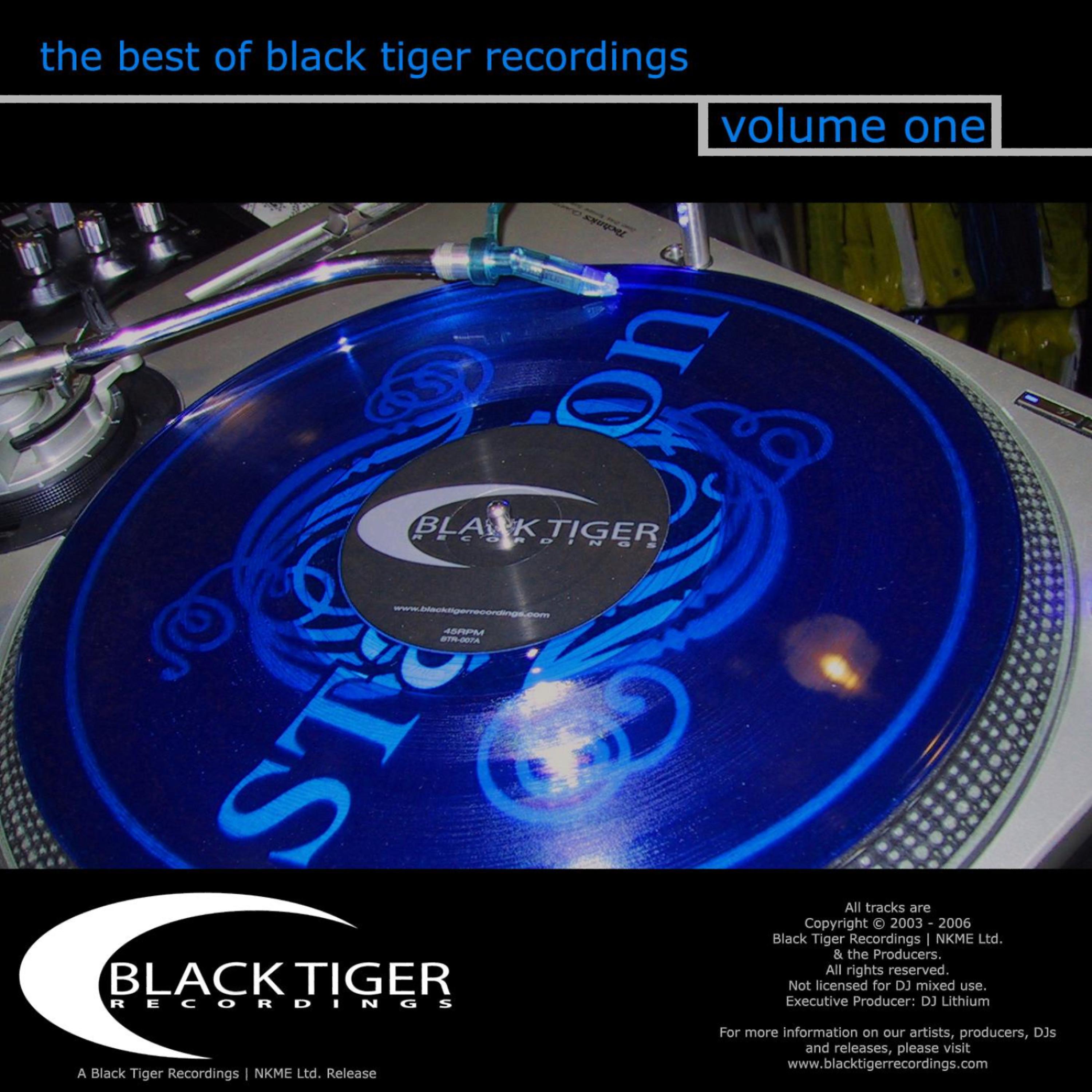 Постер альбома The Best Of Black Tiger - Volume 1