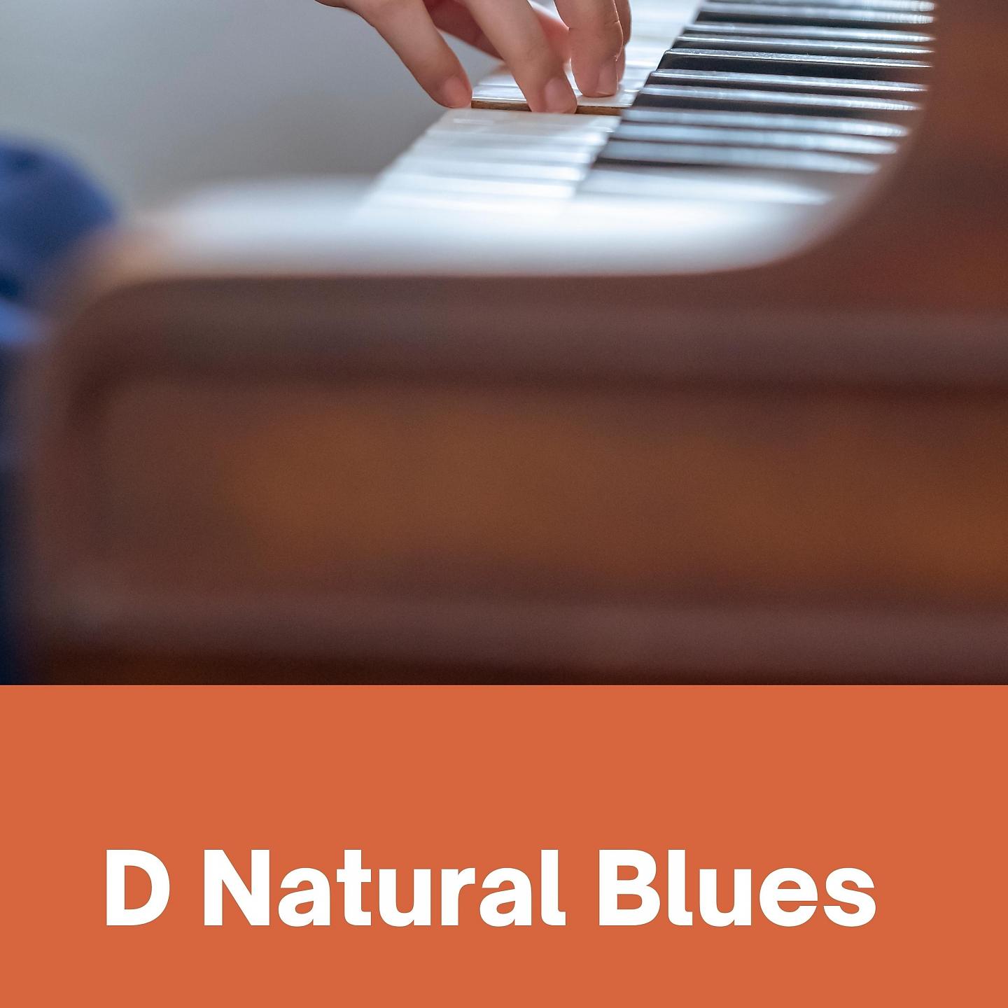 Постер альбома D Natural Blues