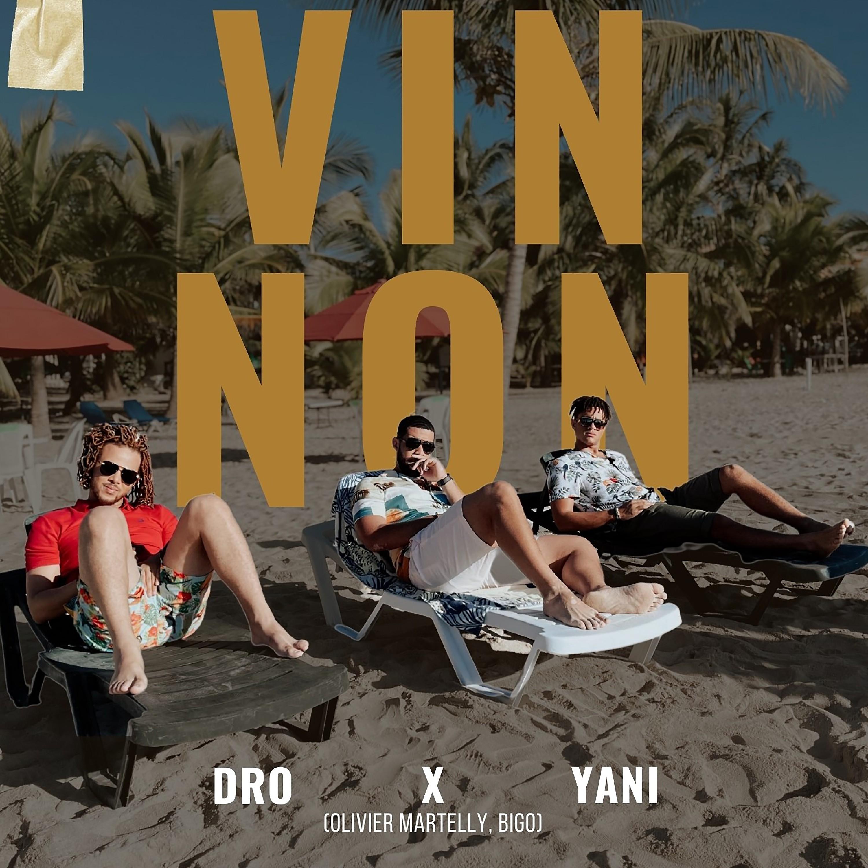 Постер альбома Vin Non