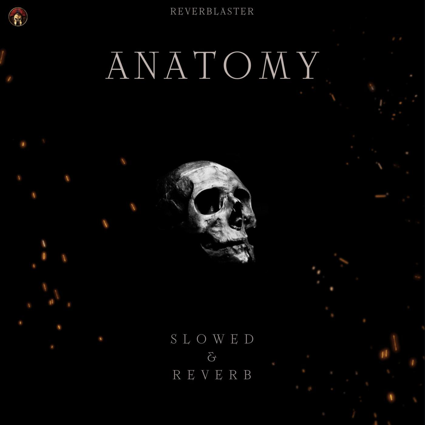 Постер альбома Anatomy - Slowed & Reverb