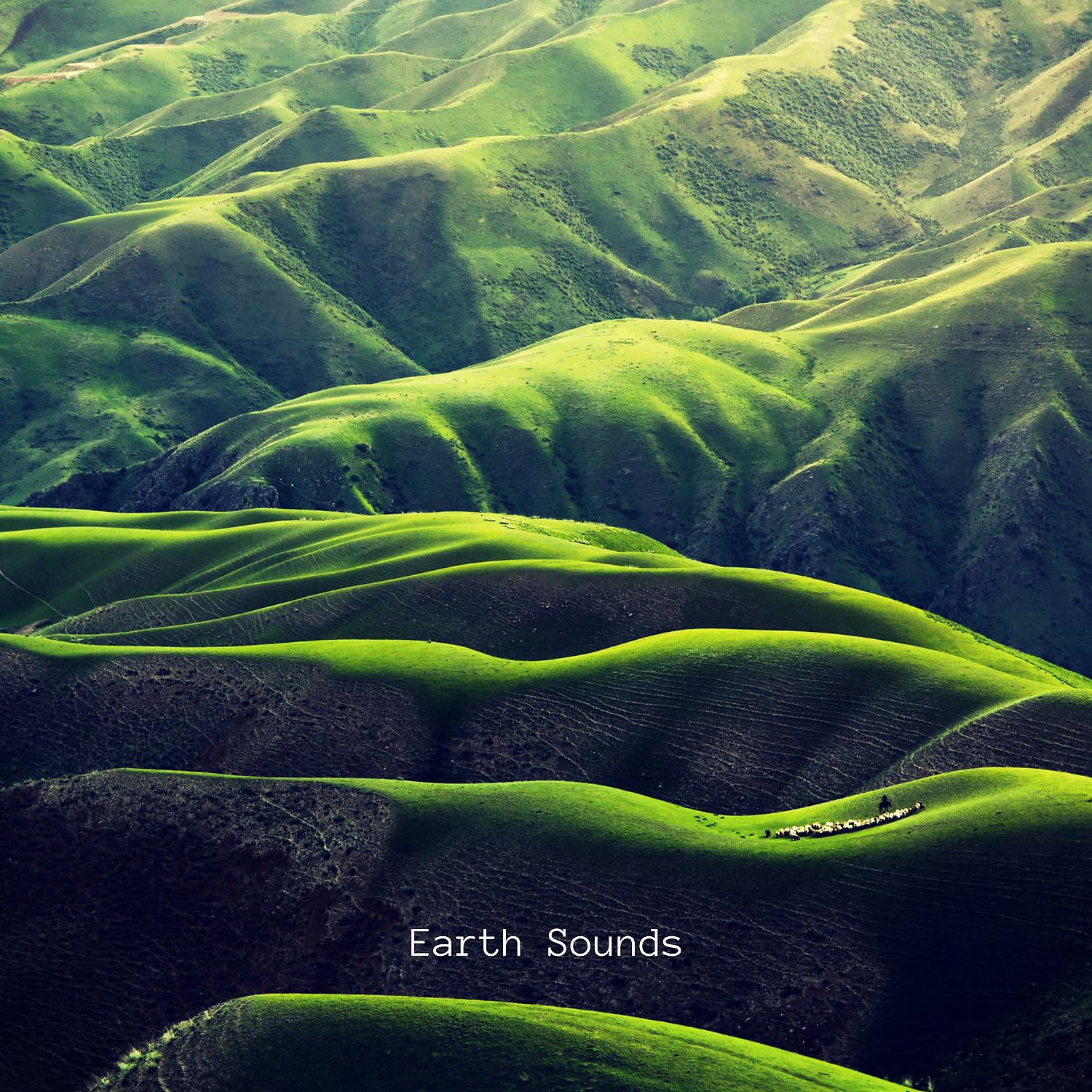 Постер альбома Earth Sounds