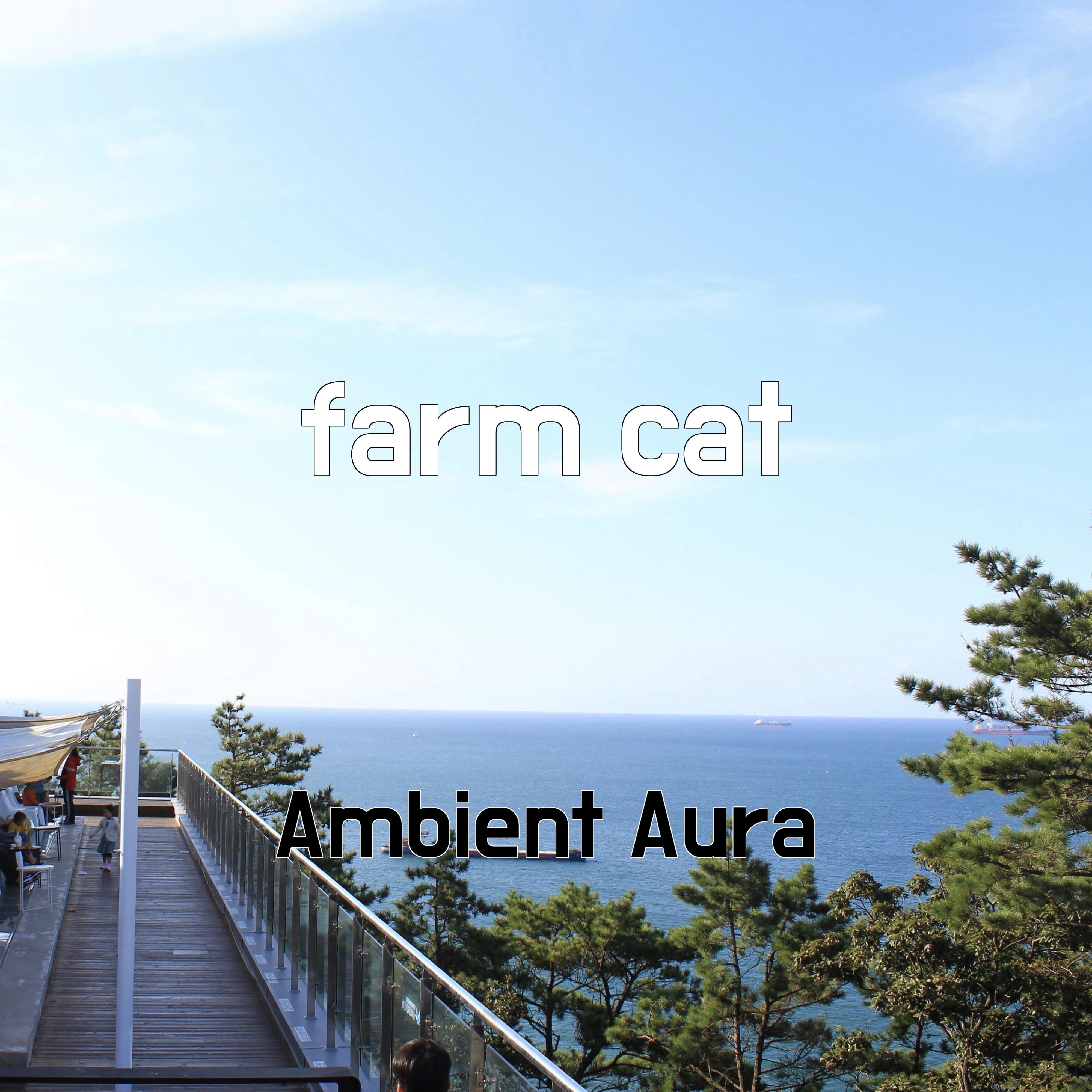 Постер альбома farm cat
