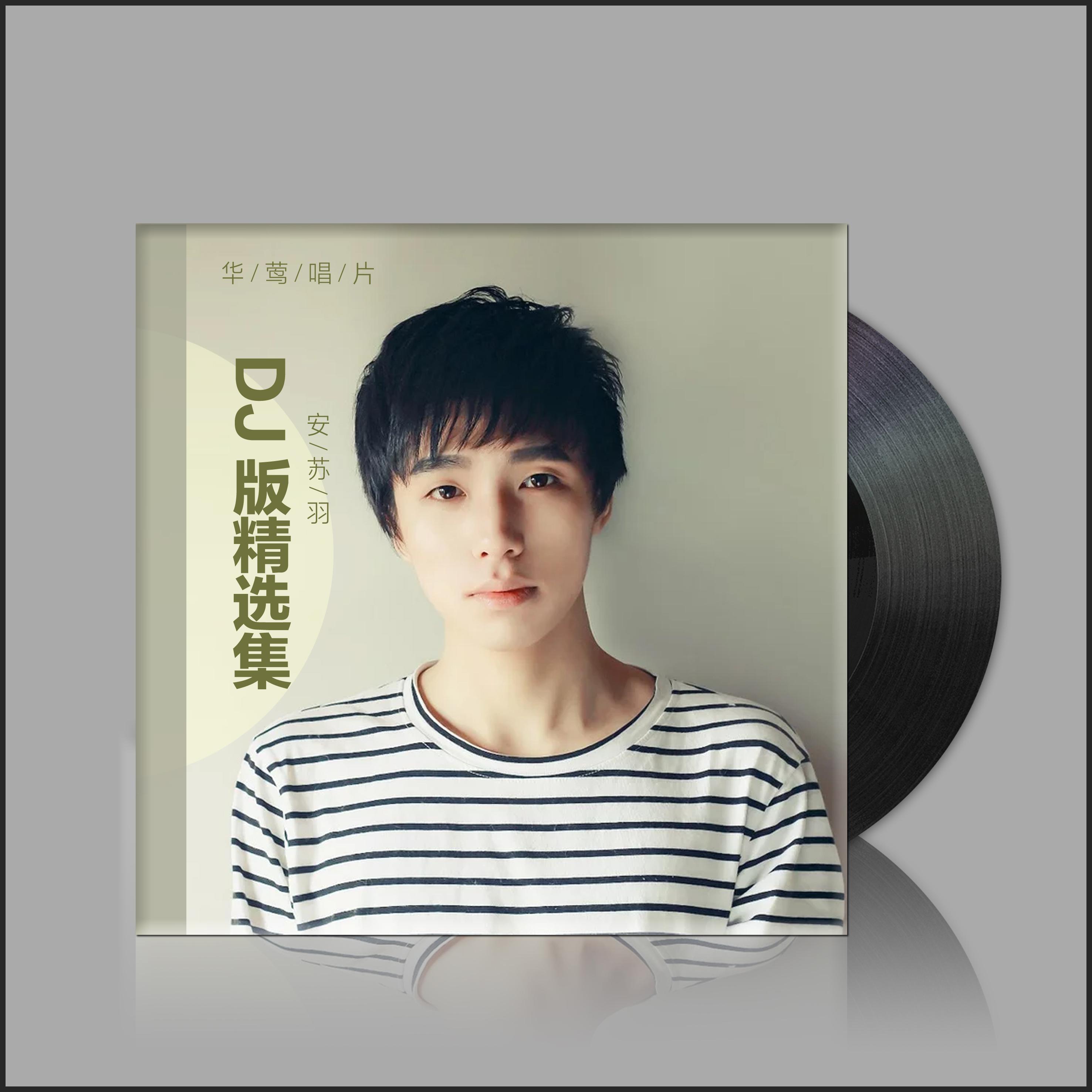 Постер альбома DJ版精选集