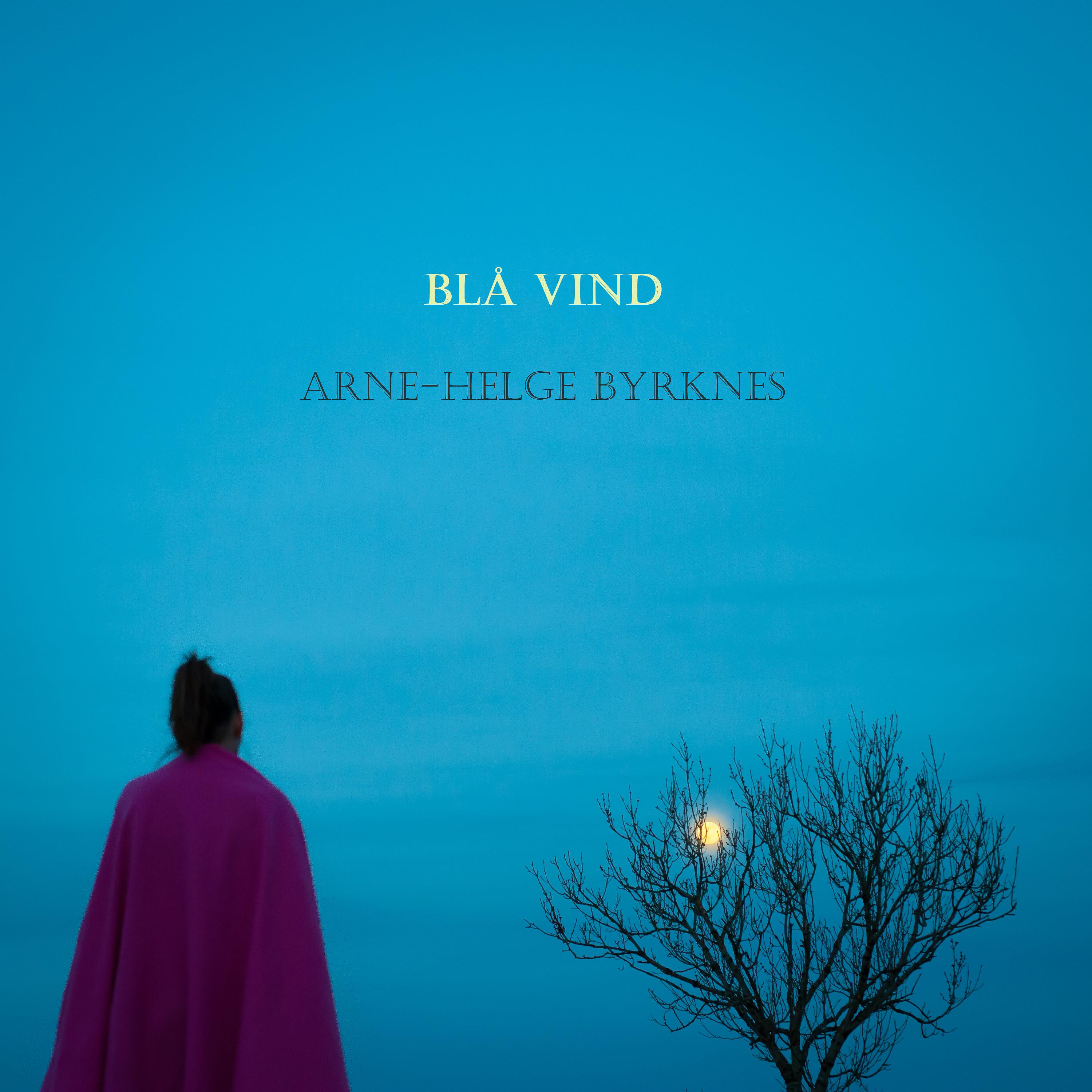 Постер альбома Blå Vind