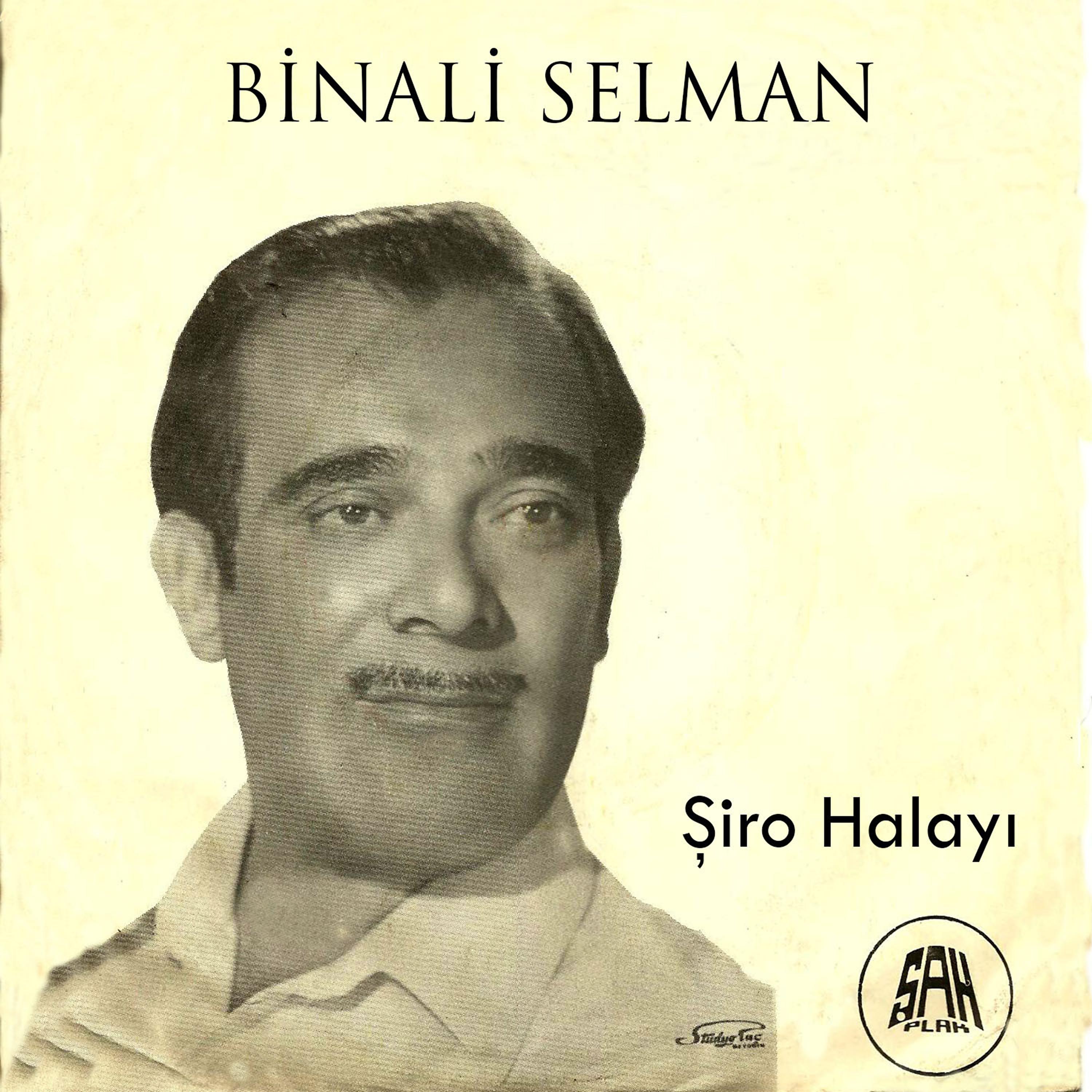 Постер альбома Şiro Halayı