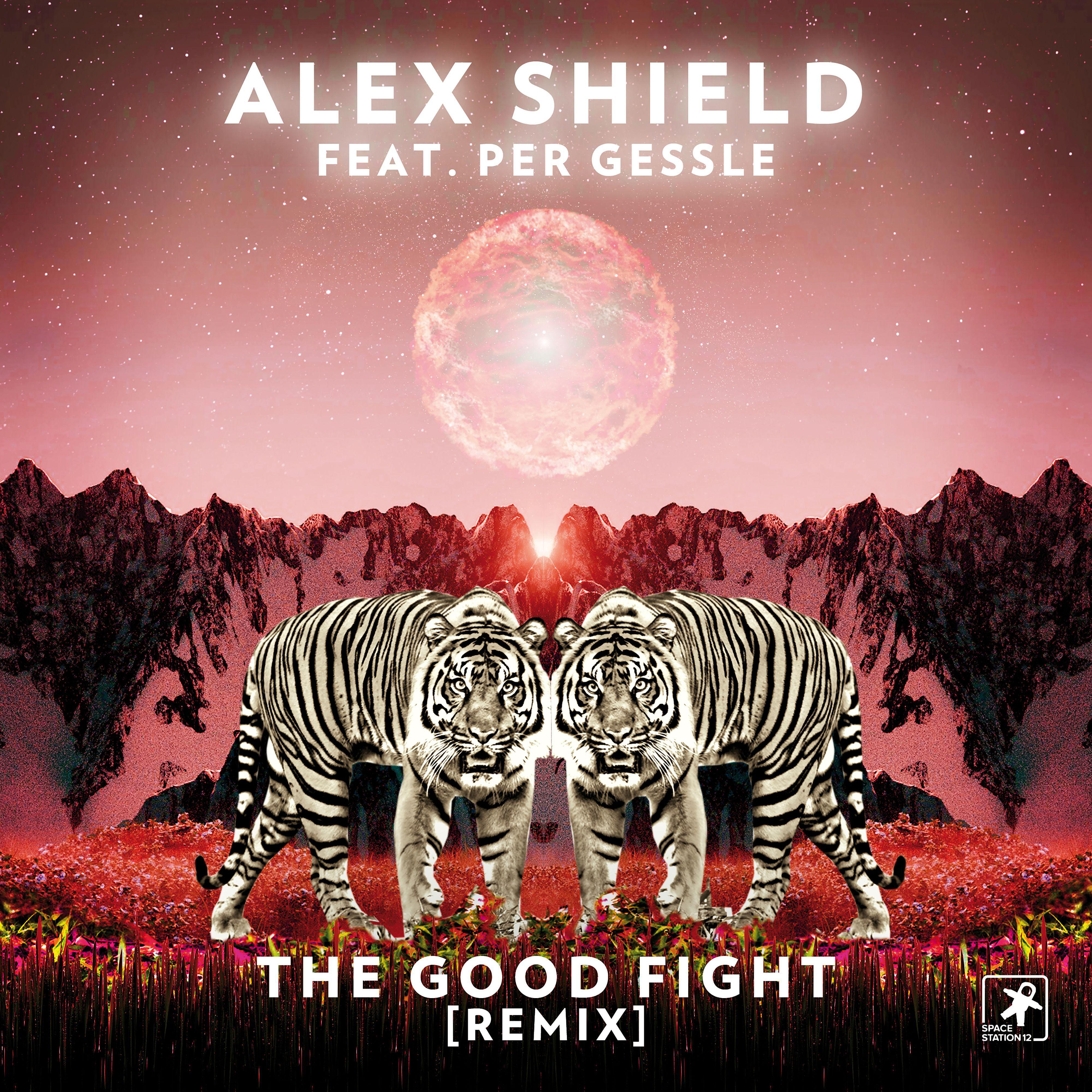 Постер альбома The Good Fight (feat. Per Gessle) [Remix]