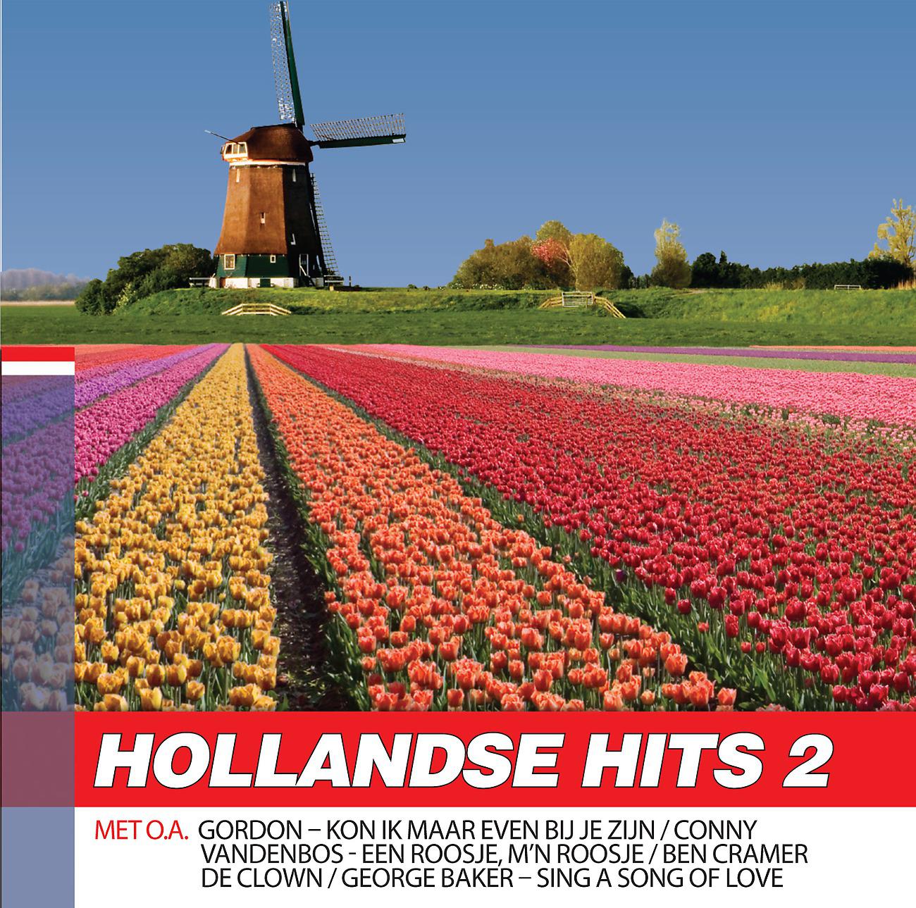 Постер альбома Hollands Hits 2 Hollands Glorie