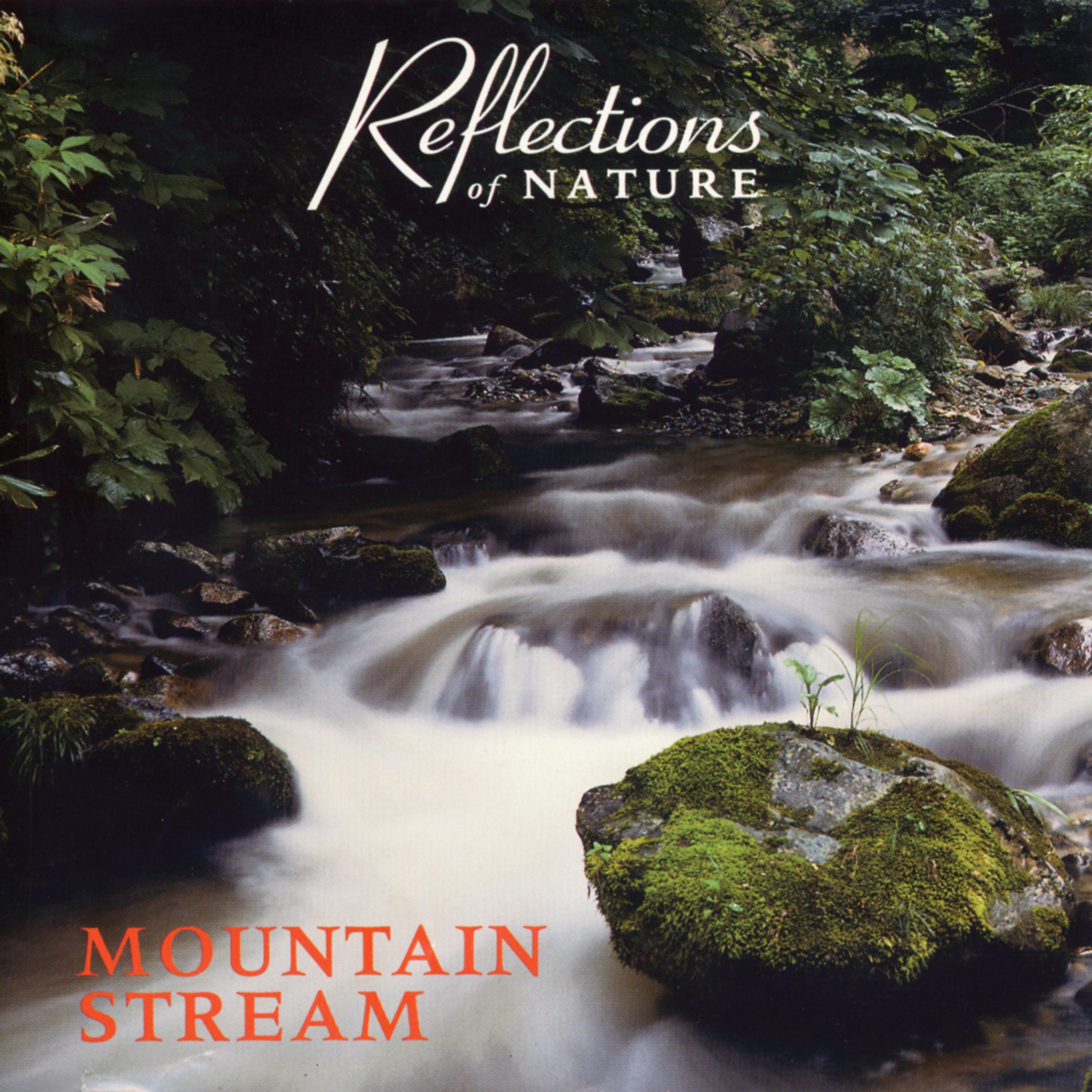 Постер альбома Mountain Stream