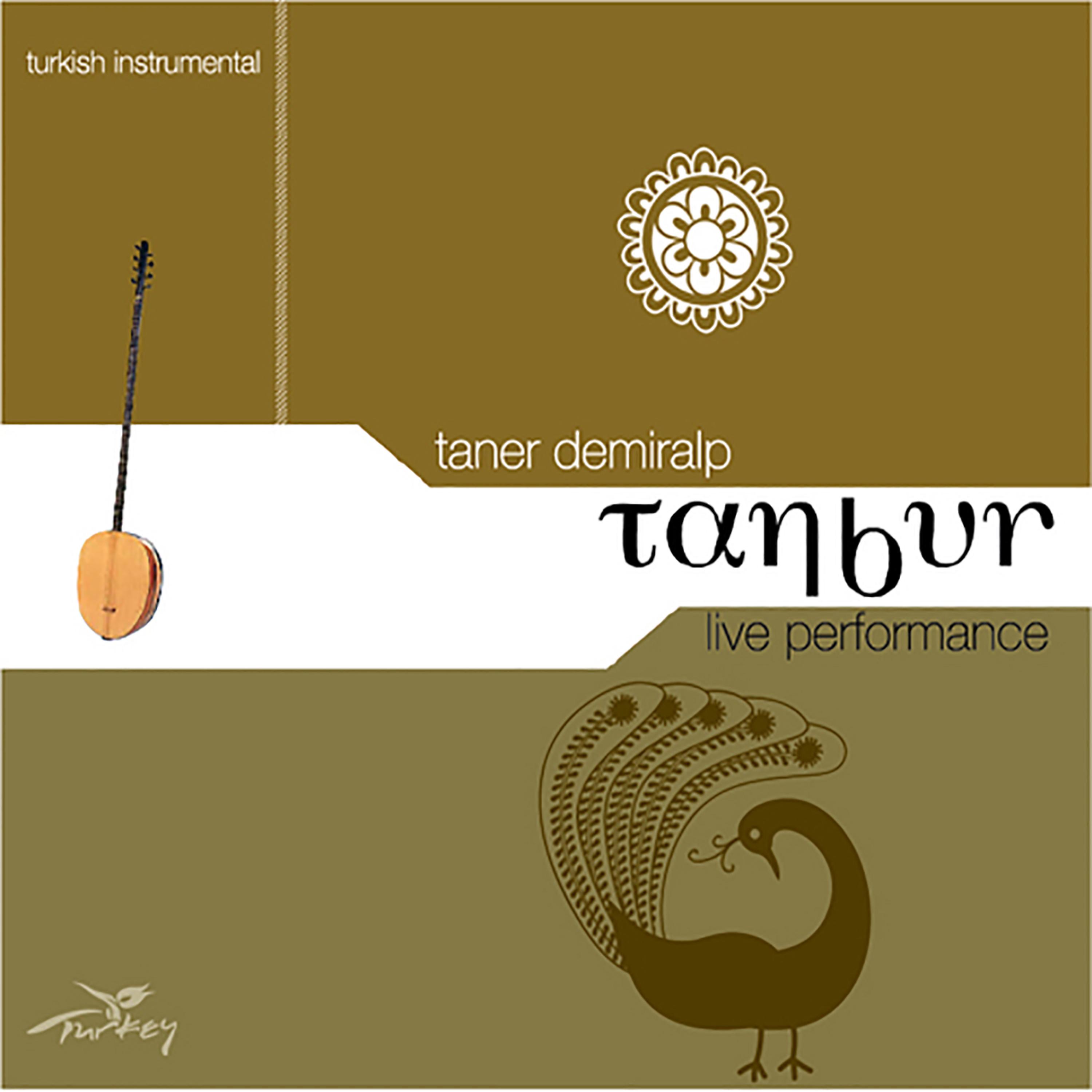 Постер альбома Tanbur : Enstrumental