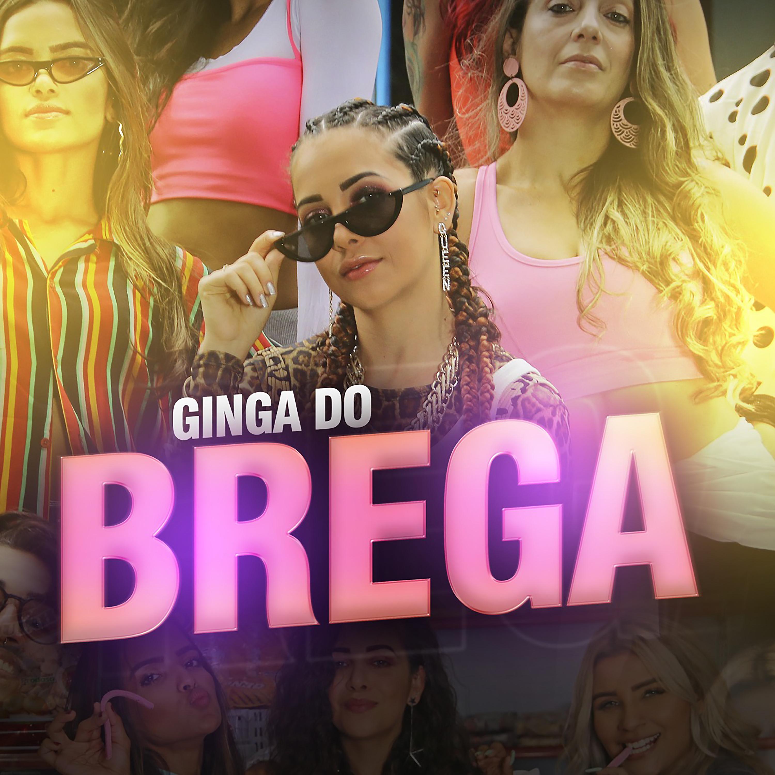 Постер альбома Ginga do Brega
