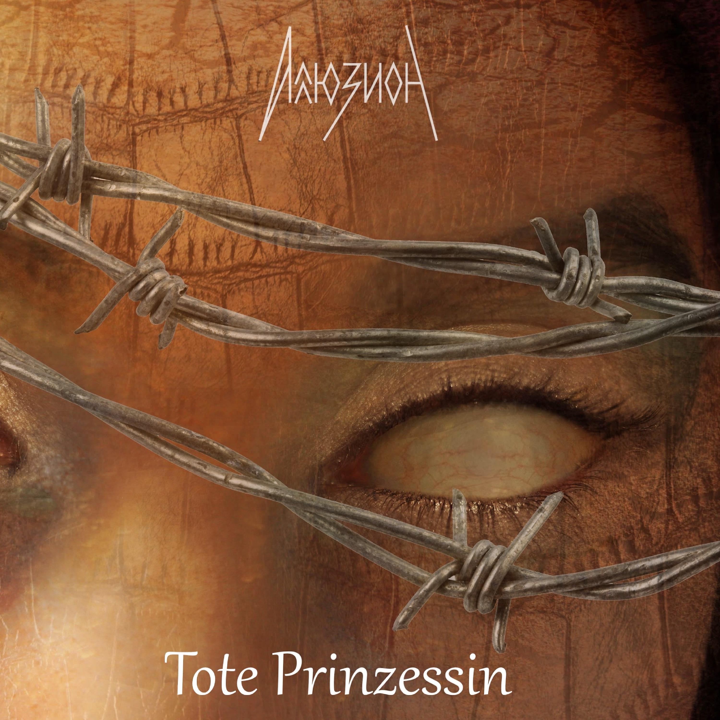 Постер альбома Tote Prinzessin