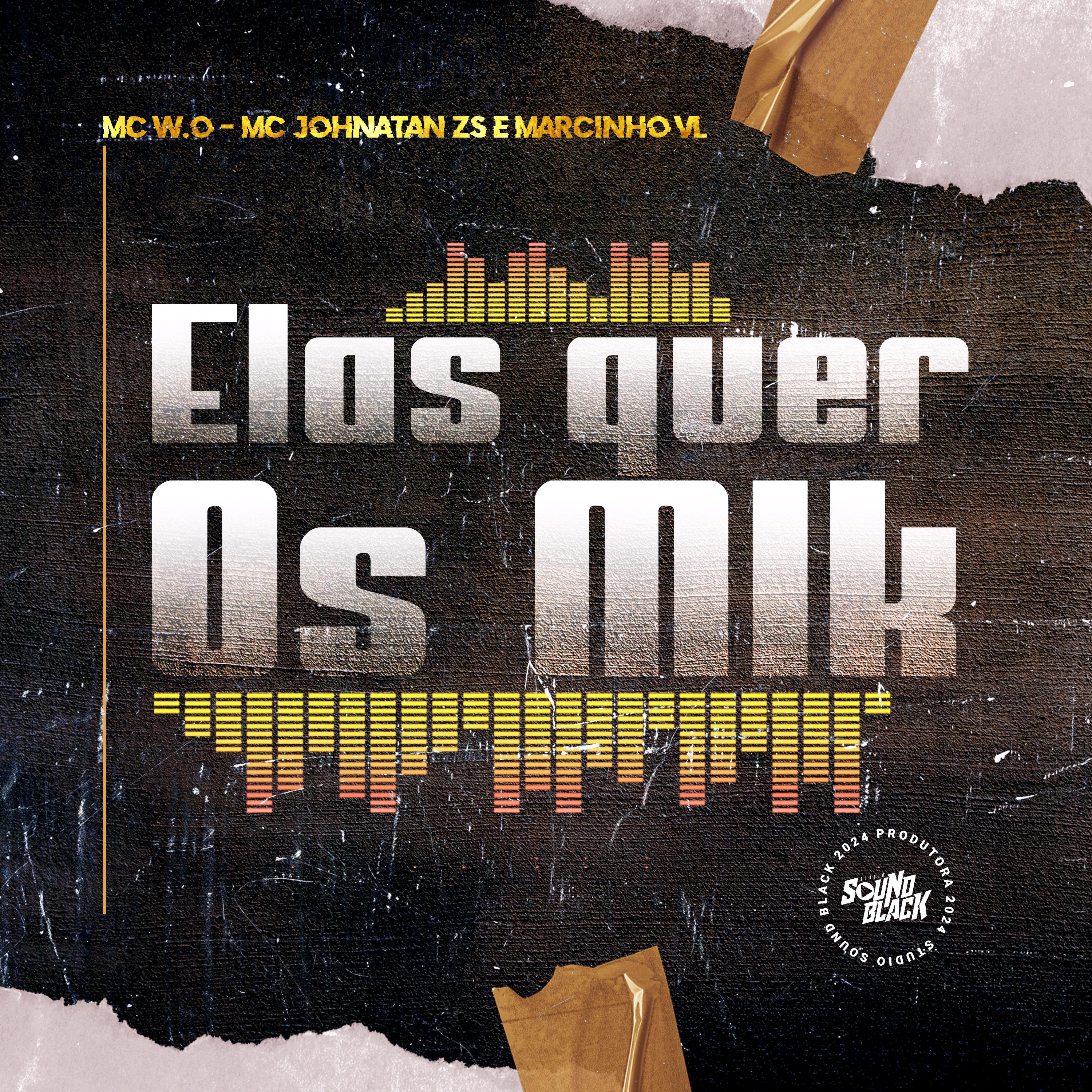 Постер альбома Elas Quer os Mlk