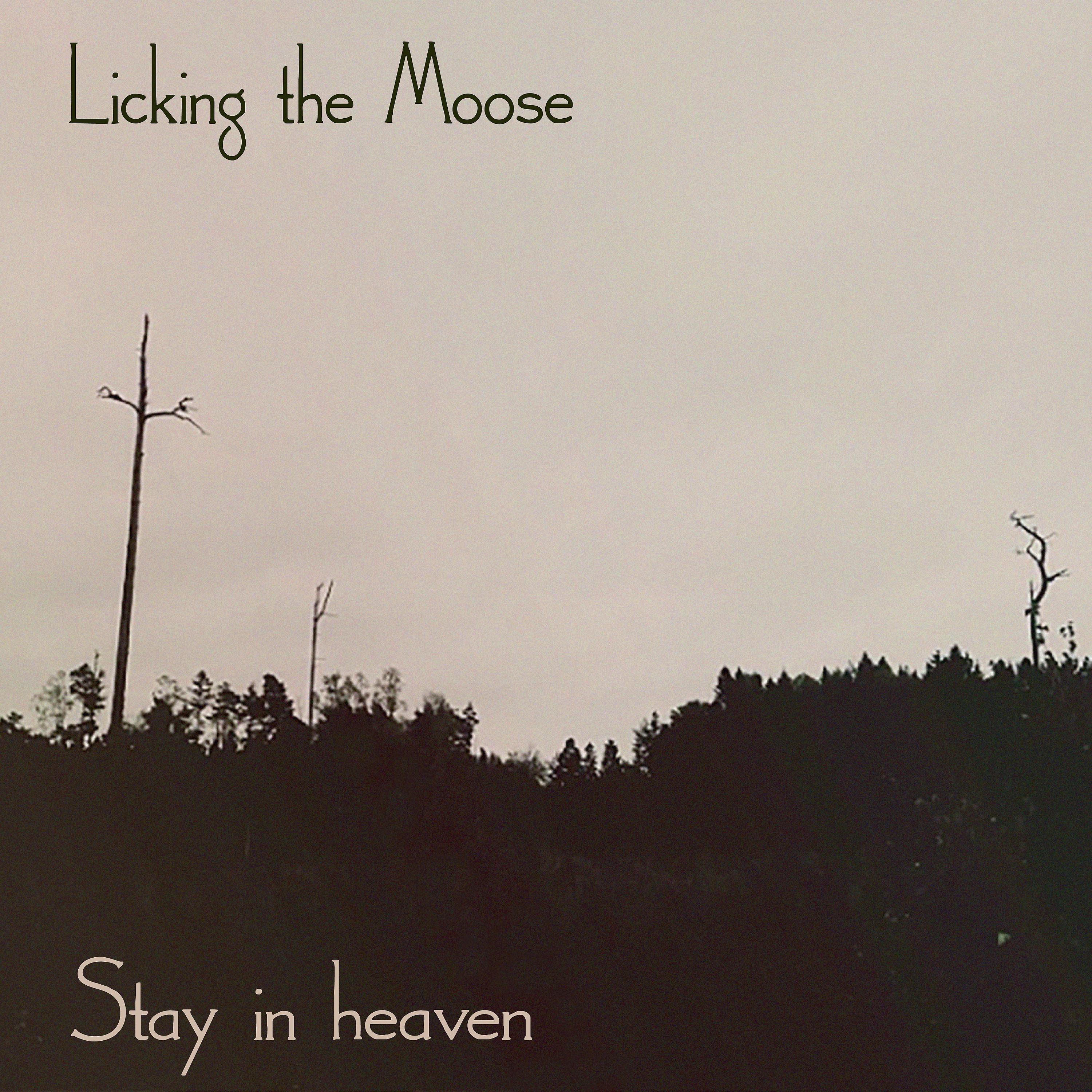 Постер альбома Stay in Heaven