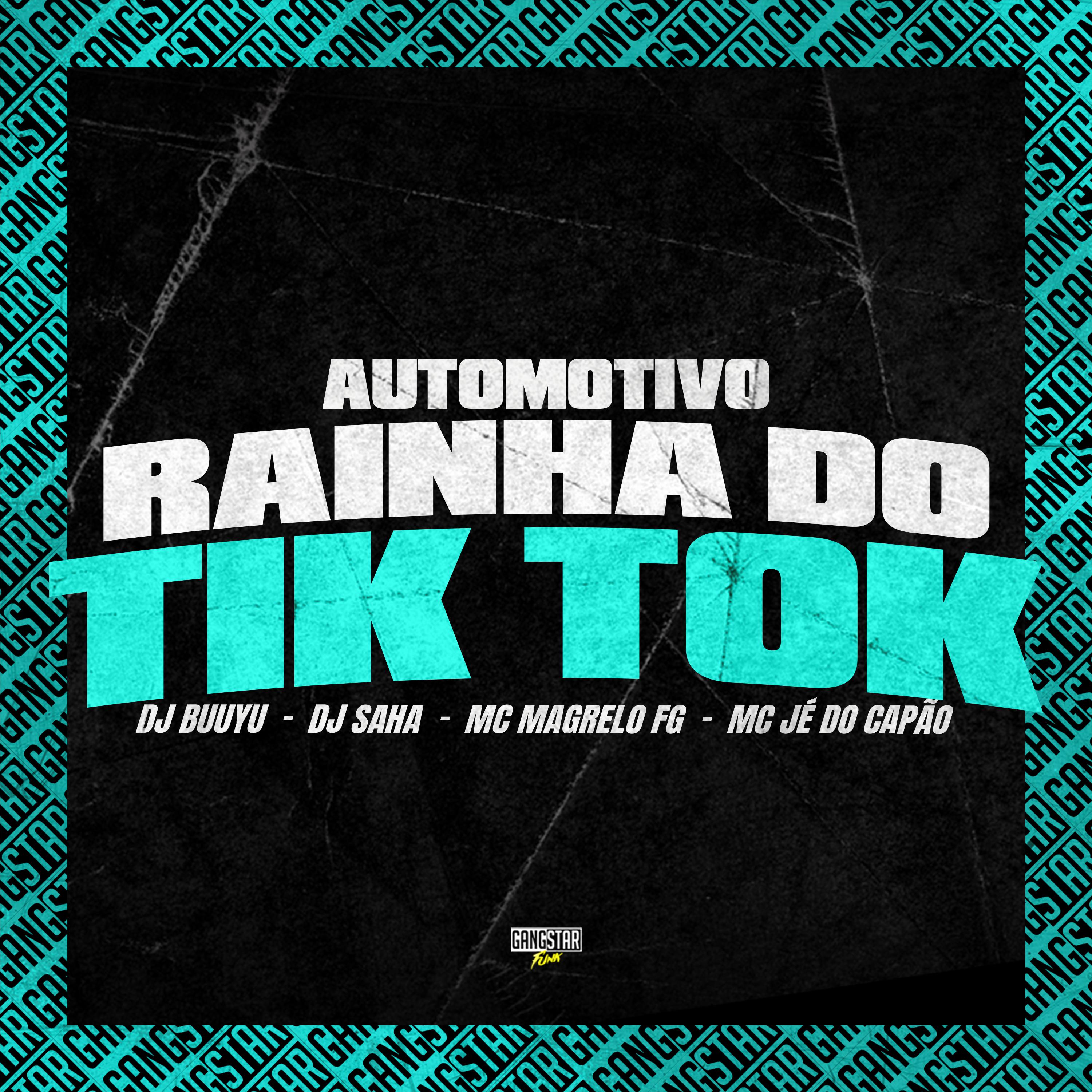 Постер альбома Automotivo Rainha do Tik Tok