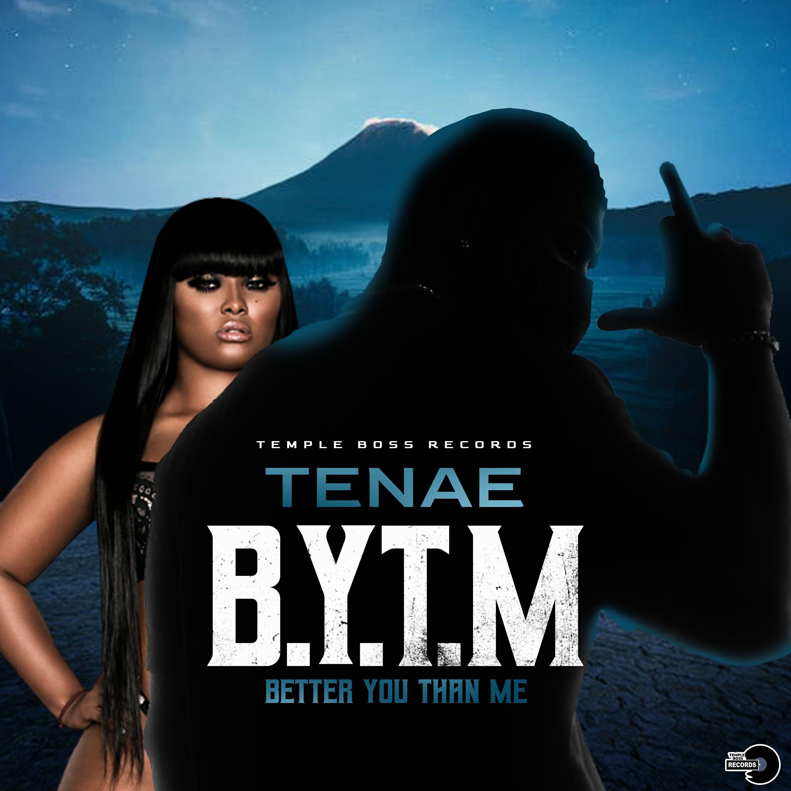 Постер альбома Better You Than Me (B.Y.T.M.)