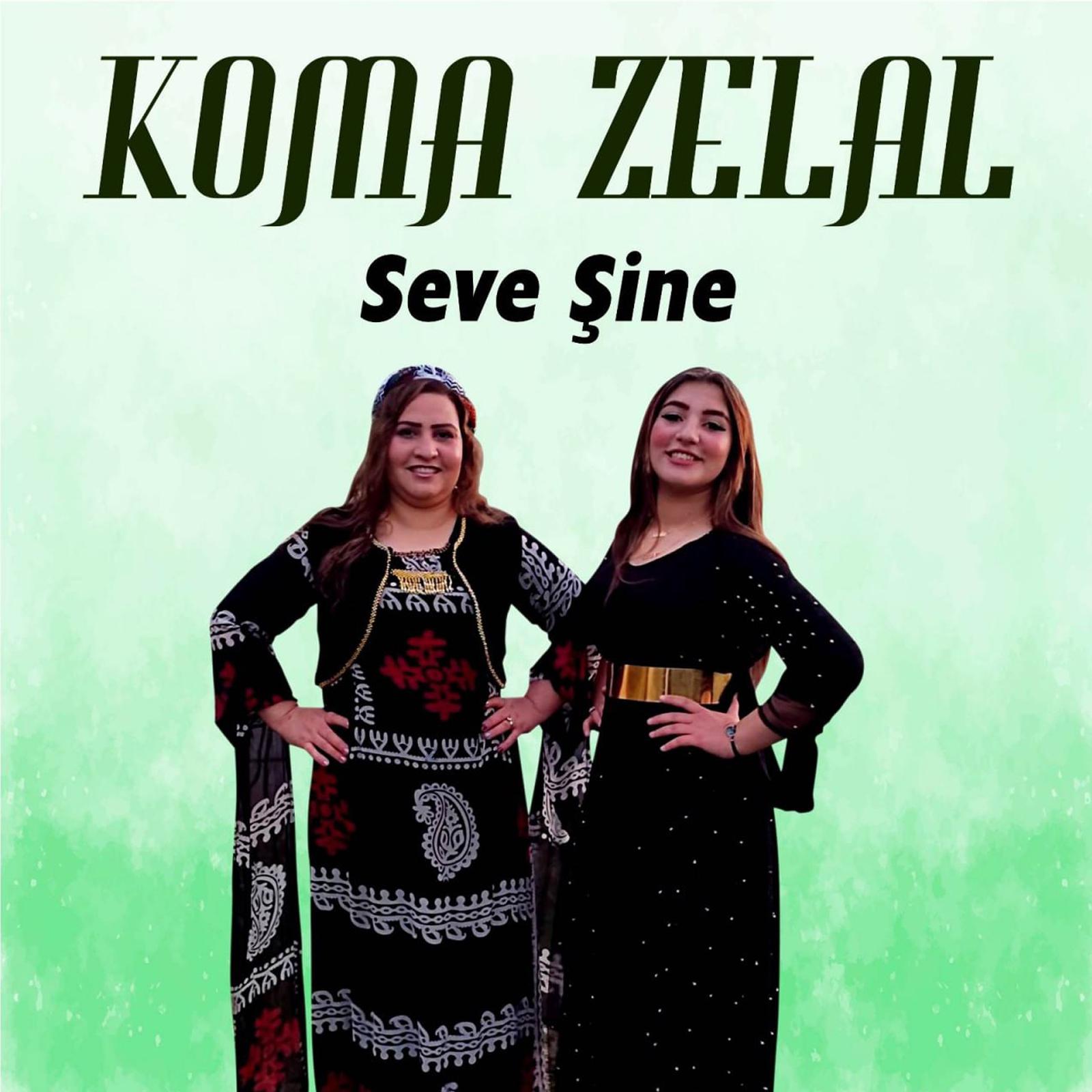 Постер альбома Seve Şine