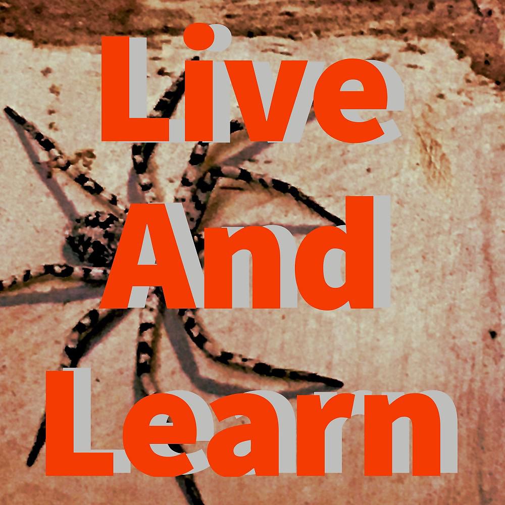 Постер альбома Live and Learn