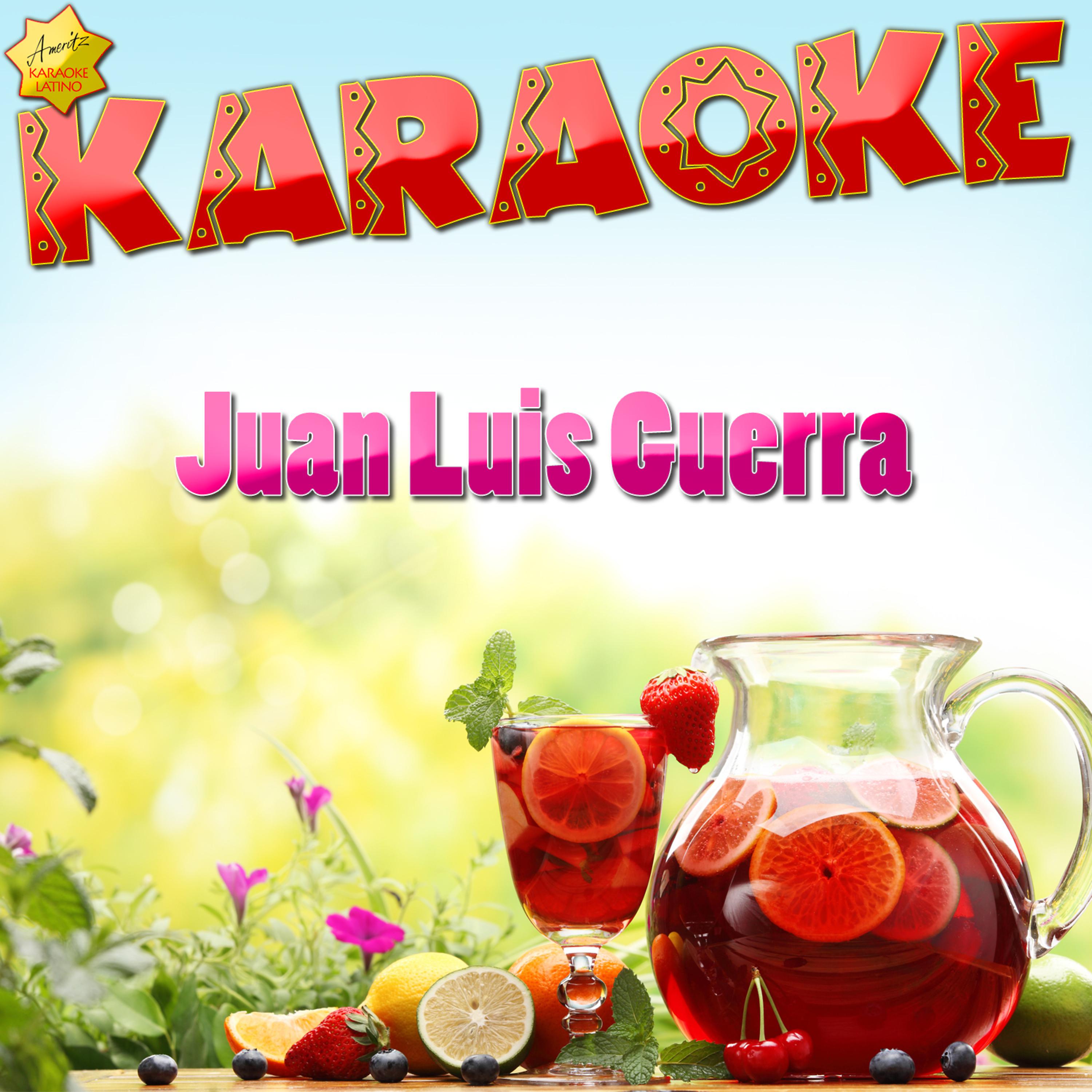 Постер альбома Karaoke Juan Luis Guerra