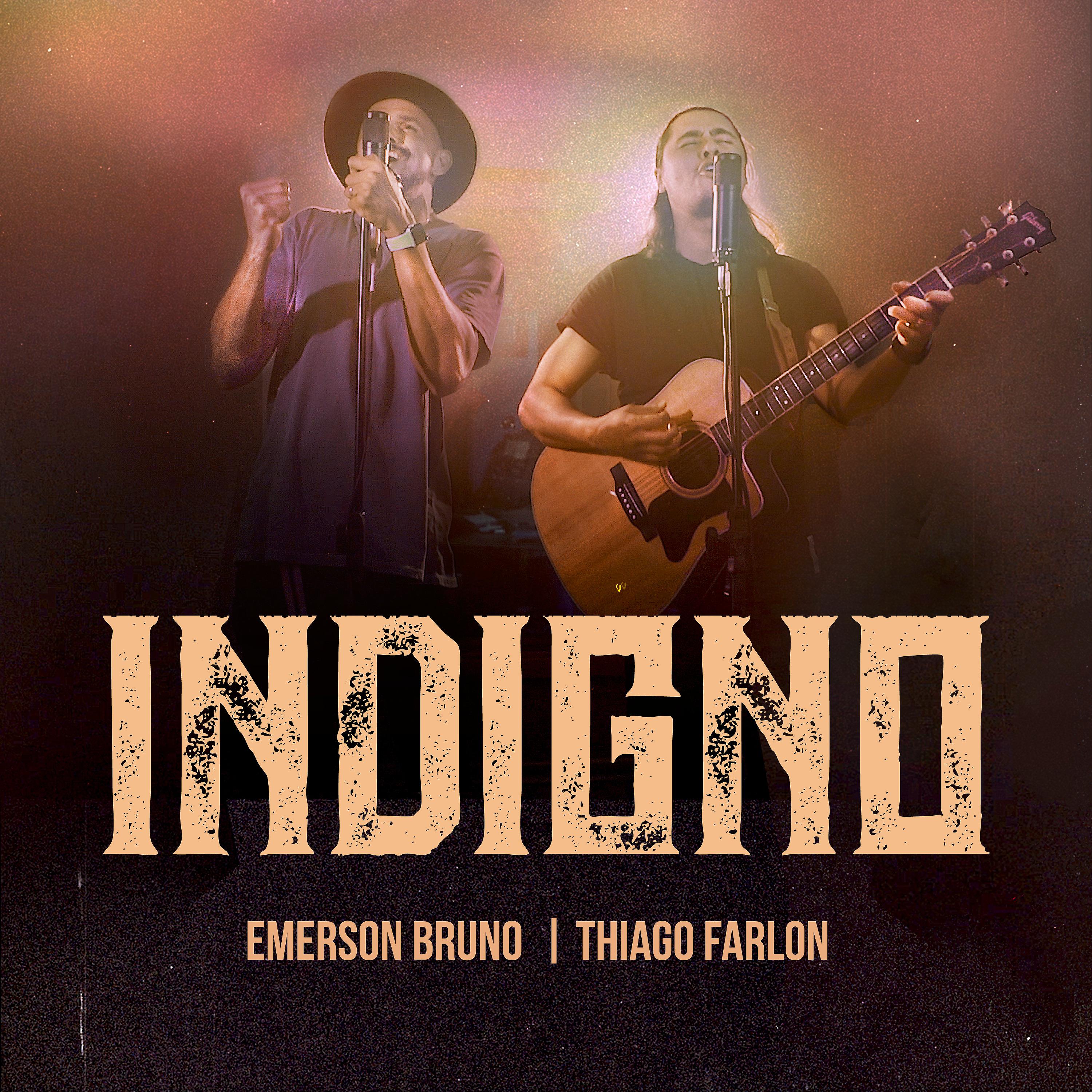 Постер альбома Indigno