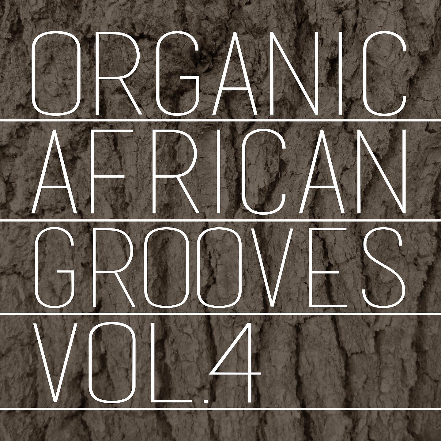 Постер альбома Organic African Grooves, Vol.4