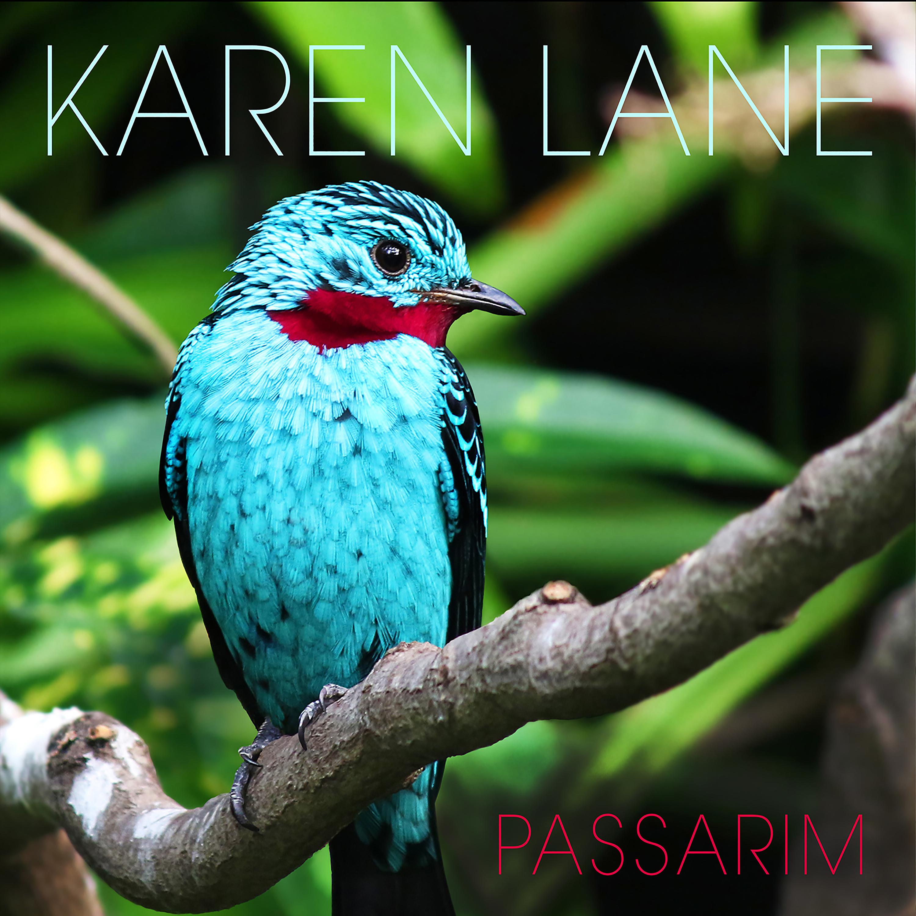 Постер альбома Passarim