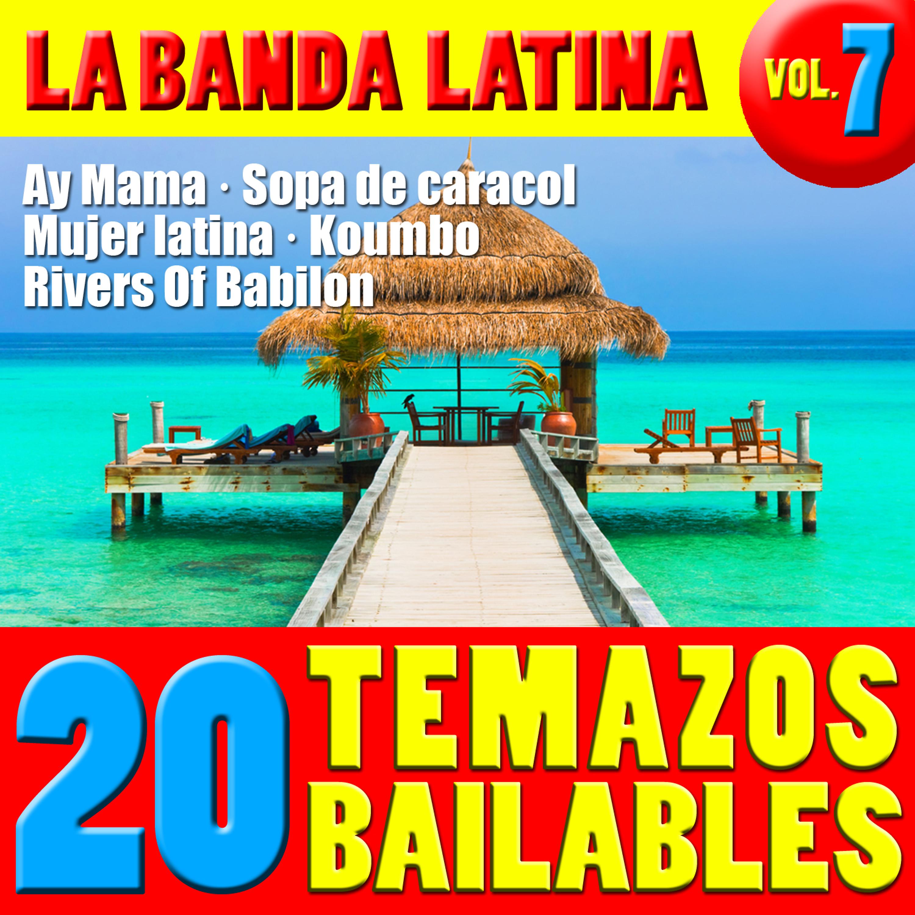 Постер альбома 20 Temazos Bailables  Vol. 7