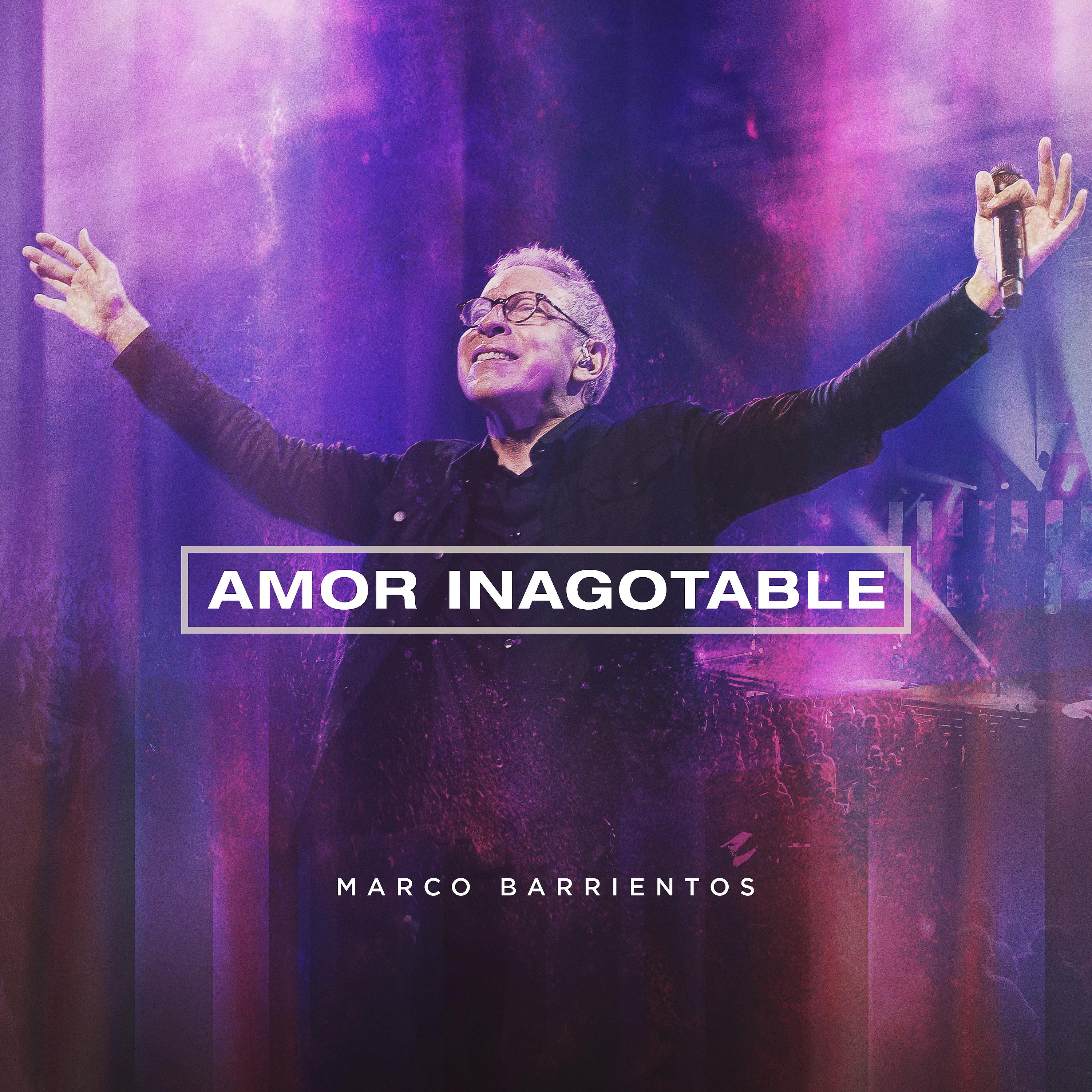 Постер альбома Amor Inagotable (En Vivo)