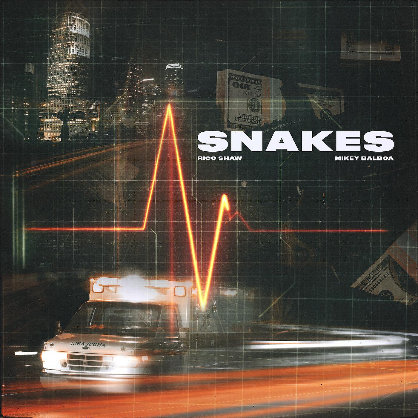 Постер альбома Snakes